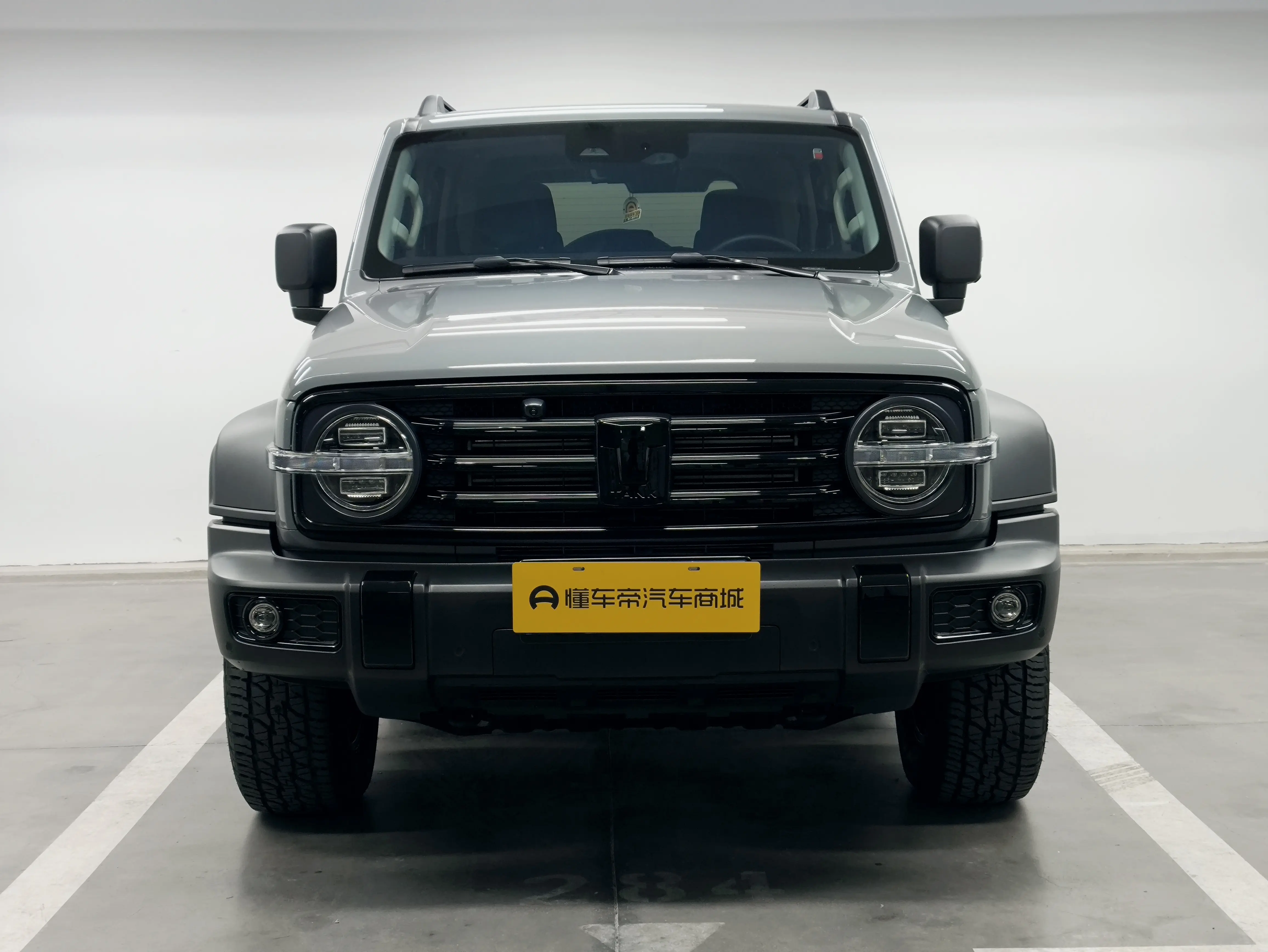 Tank 300  из Китая