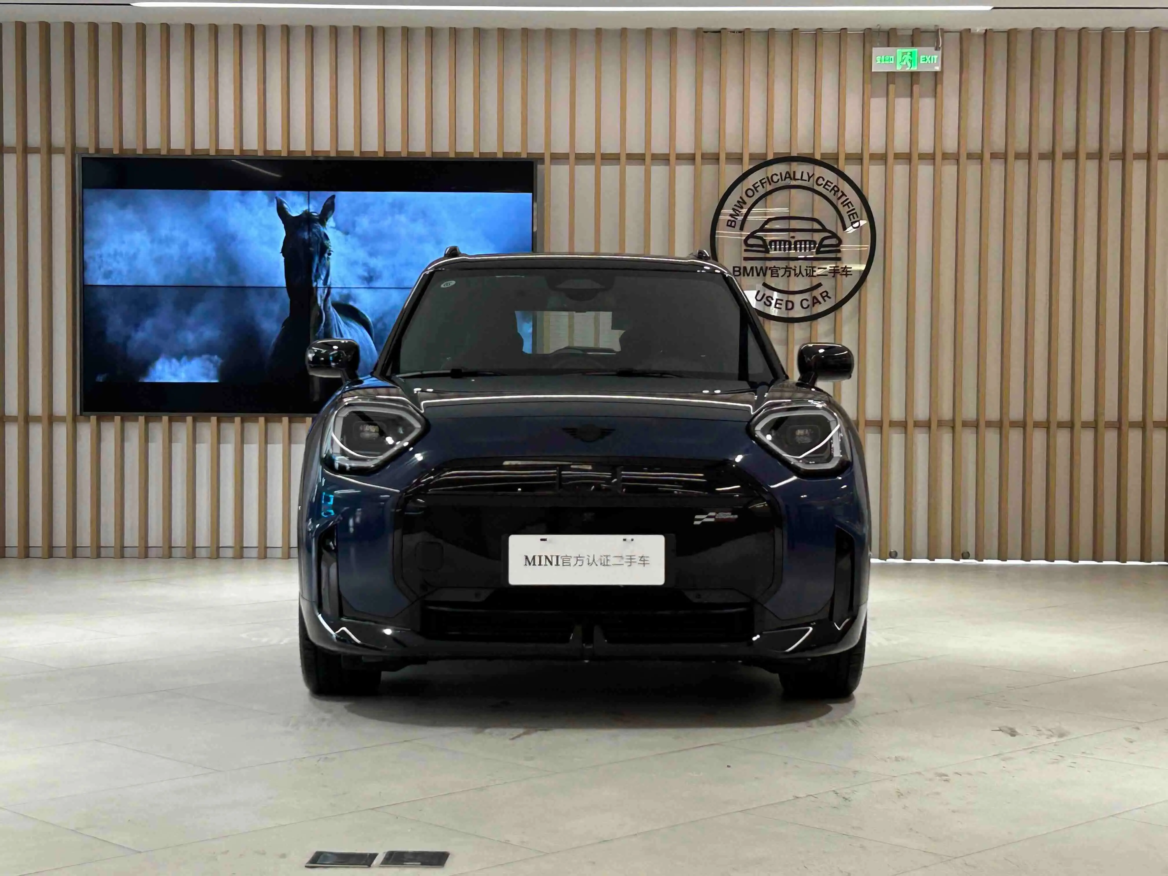 MINI ELECTRIC  ACEMAN