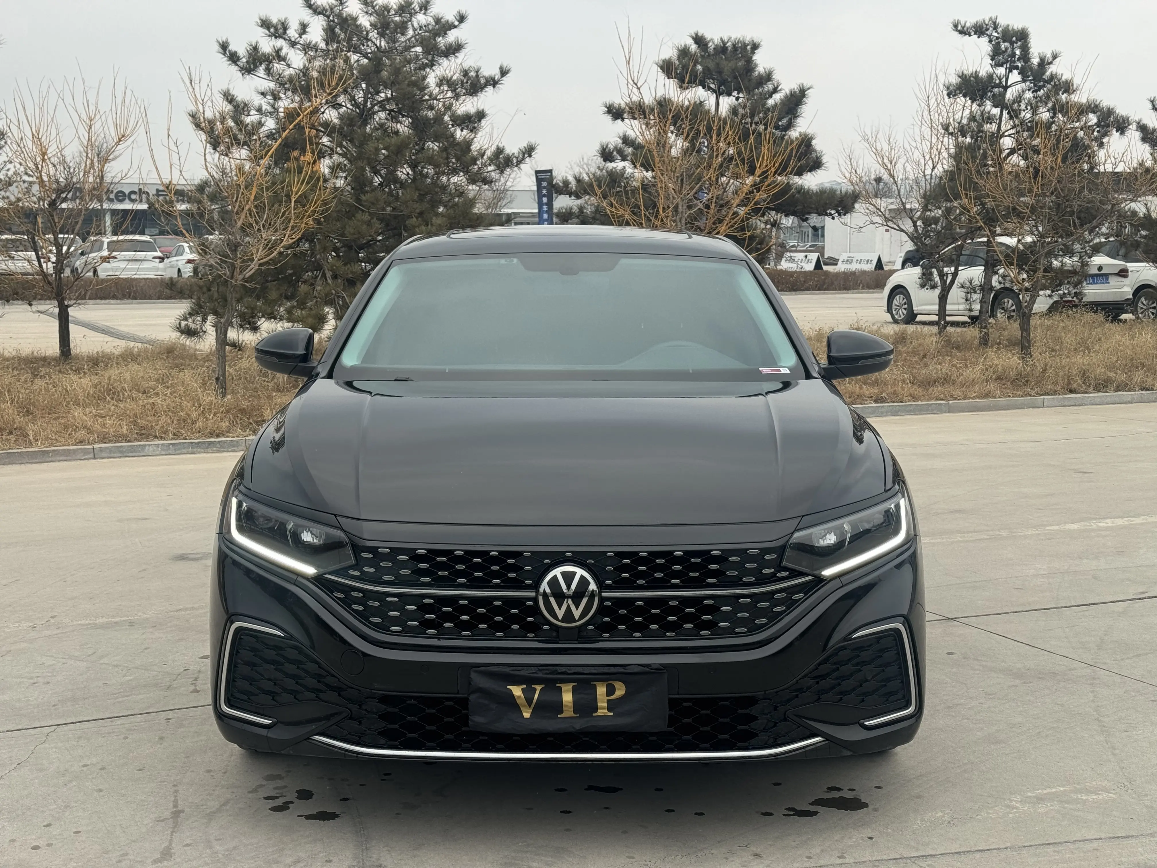 Volkswagen Passat  из Китая