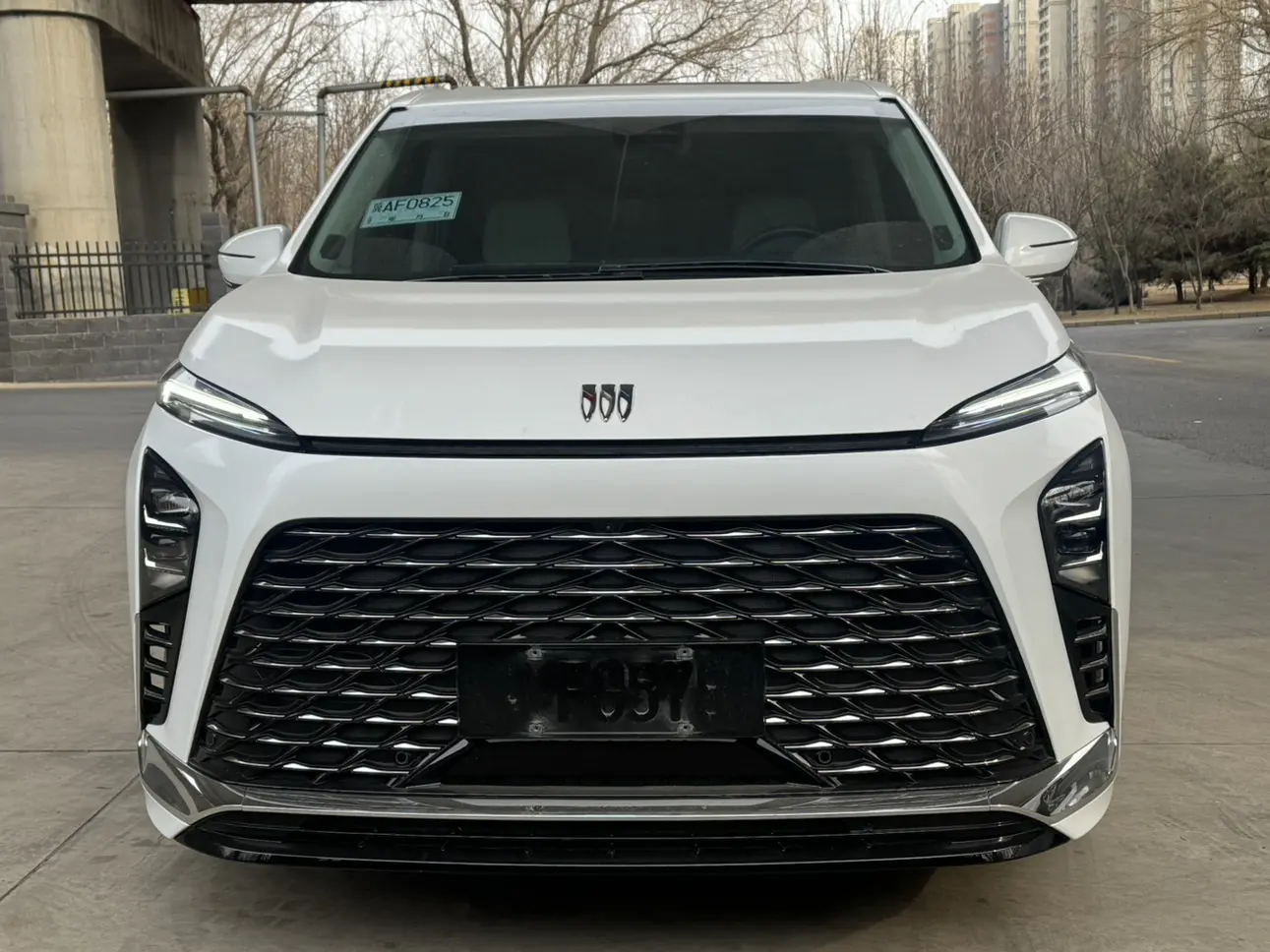 Buick GL8 PHEV  из Китая