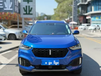 Wey Wei brand VV6