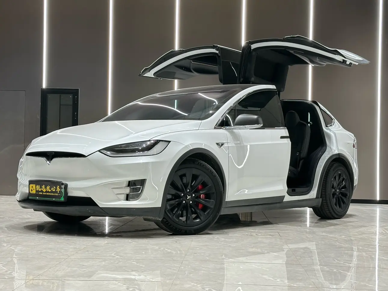 Tesla Model X  из Китая
