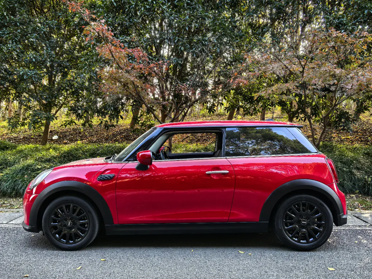 MINI 