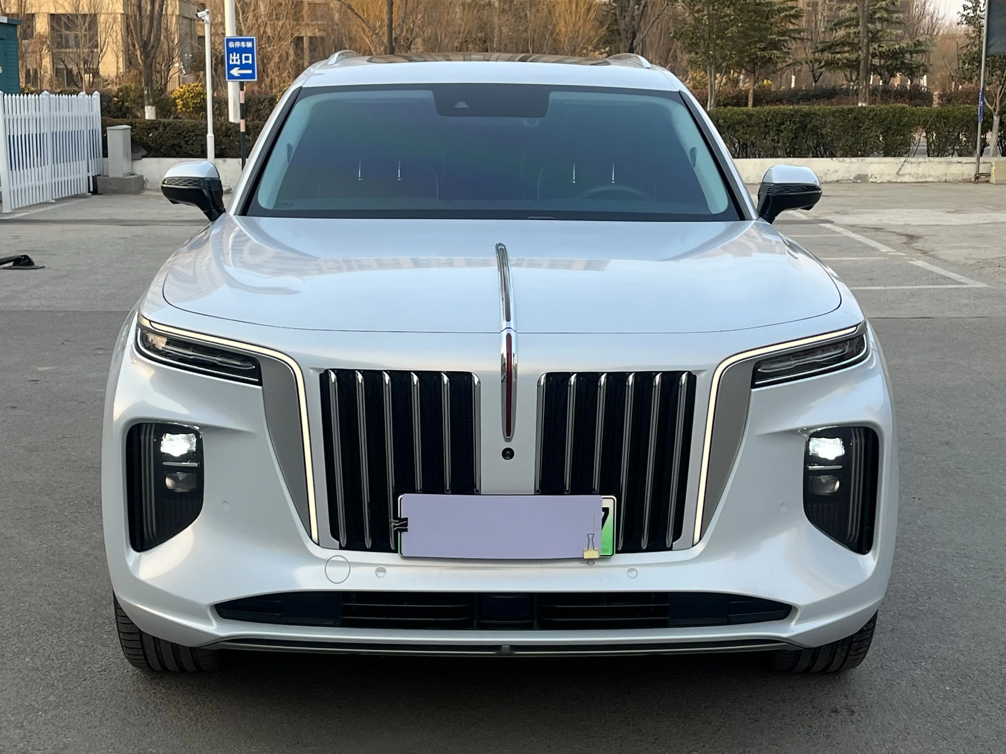 Hongqi E-HS9  из Китая
