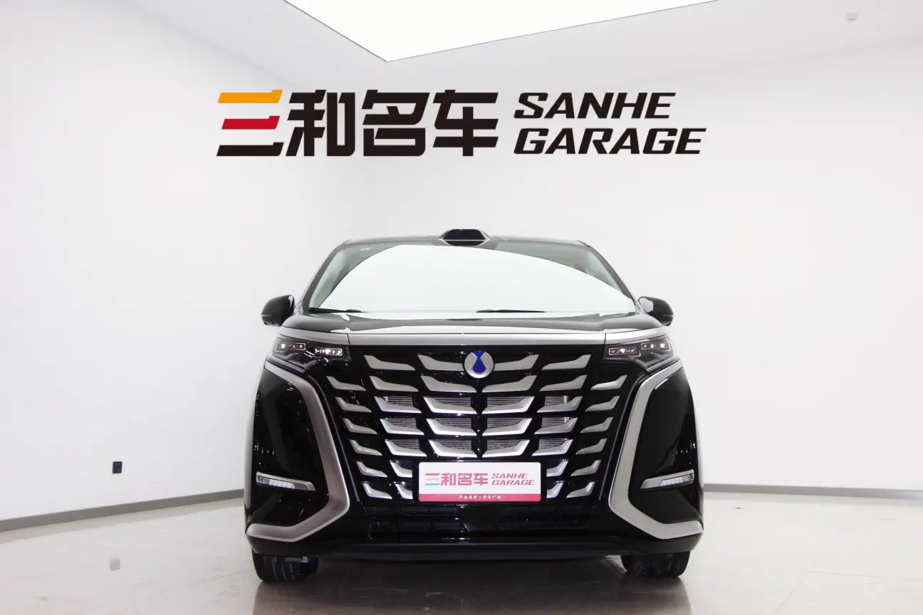 Denza D9 DM  из Китая