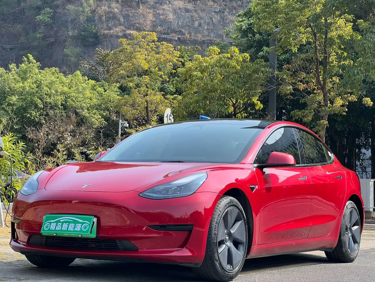 Tesla Model 3  из Китая
