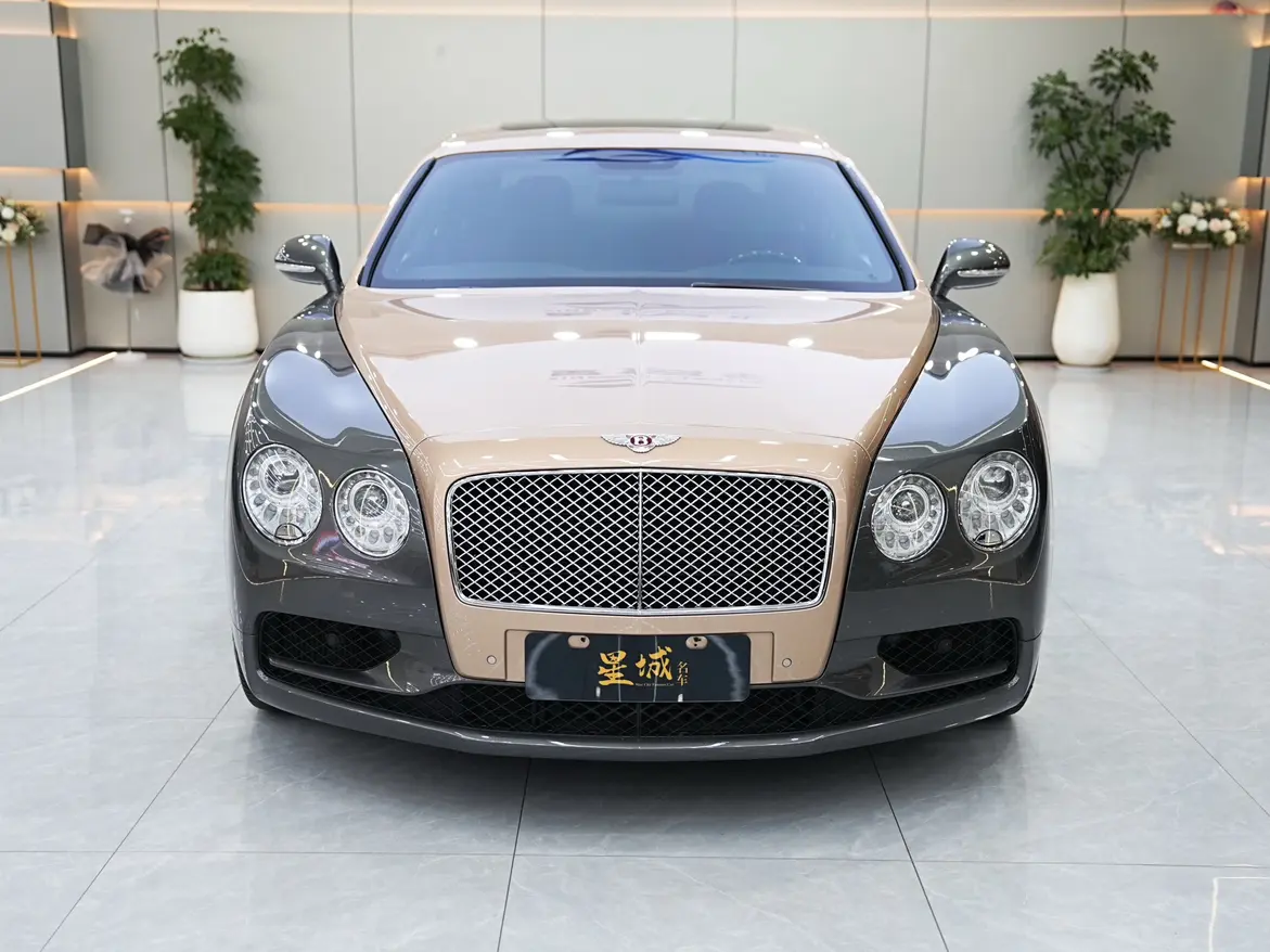 Bentley Galloping