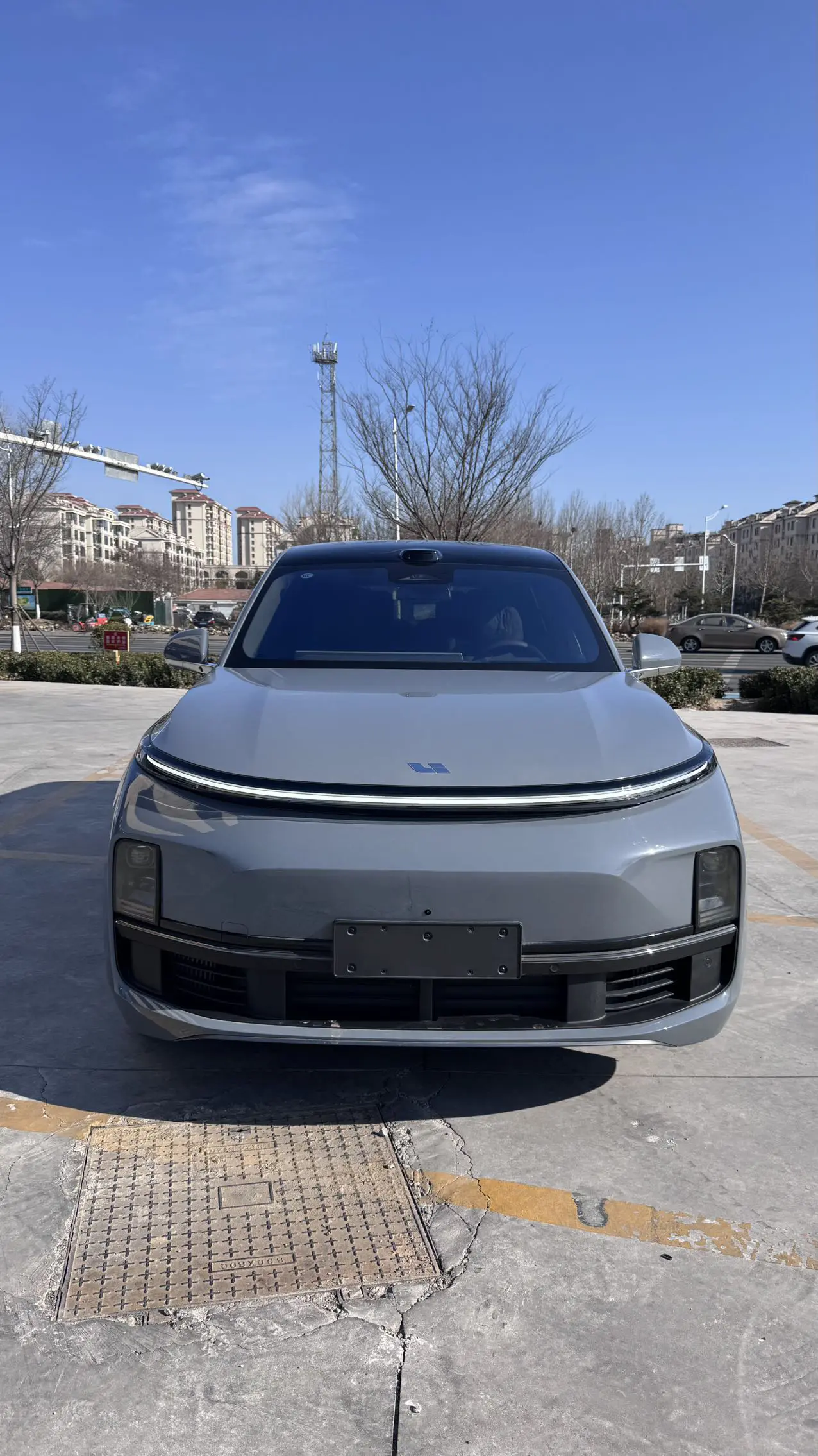 Li L8 (Ideal L8)  из Китая