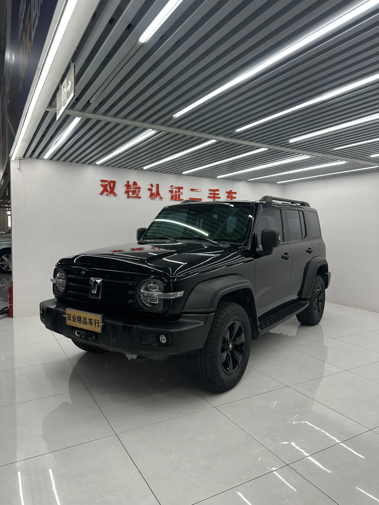 Tank 300  из Китая