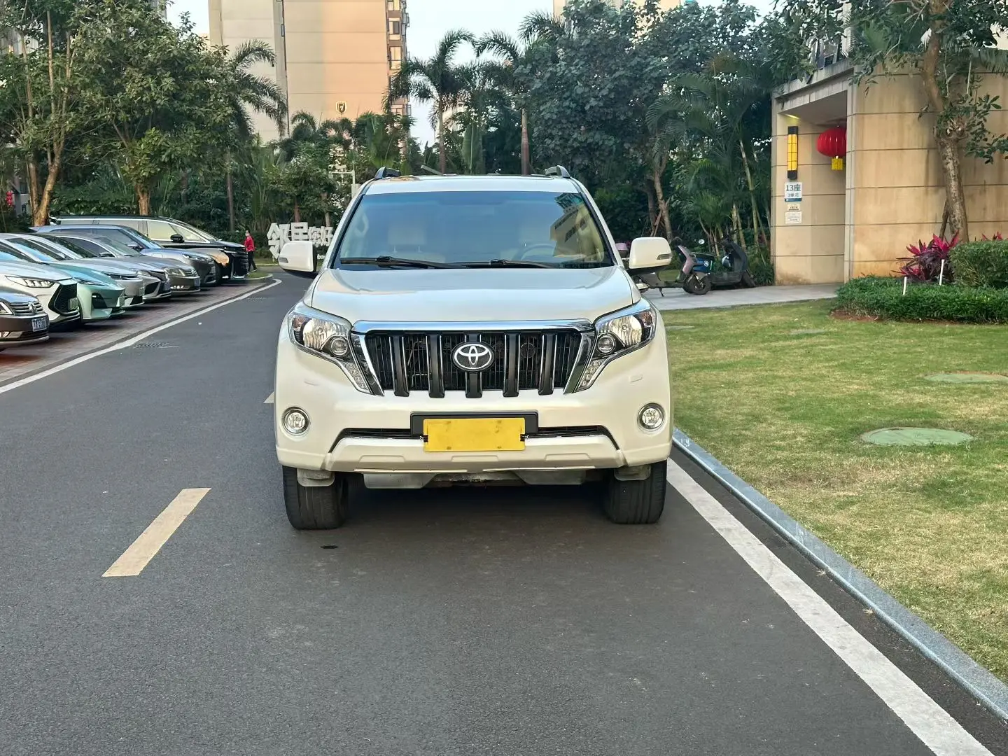 Toyota Prado