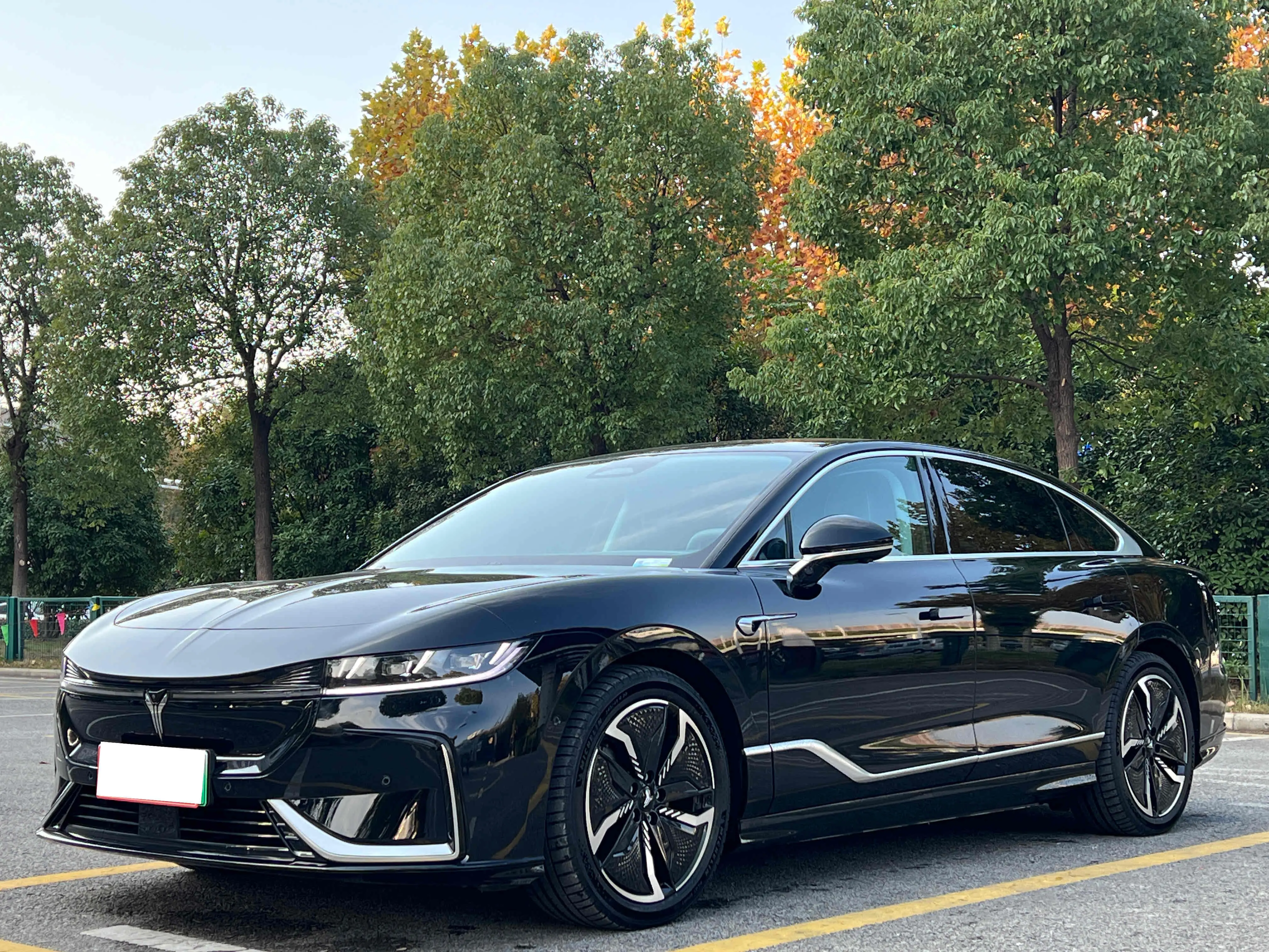 Voyah Passion EV  из Китая