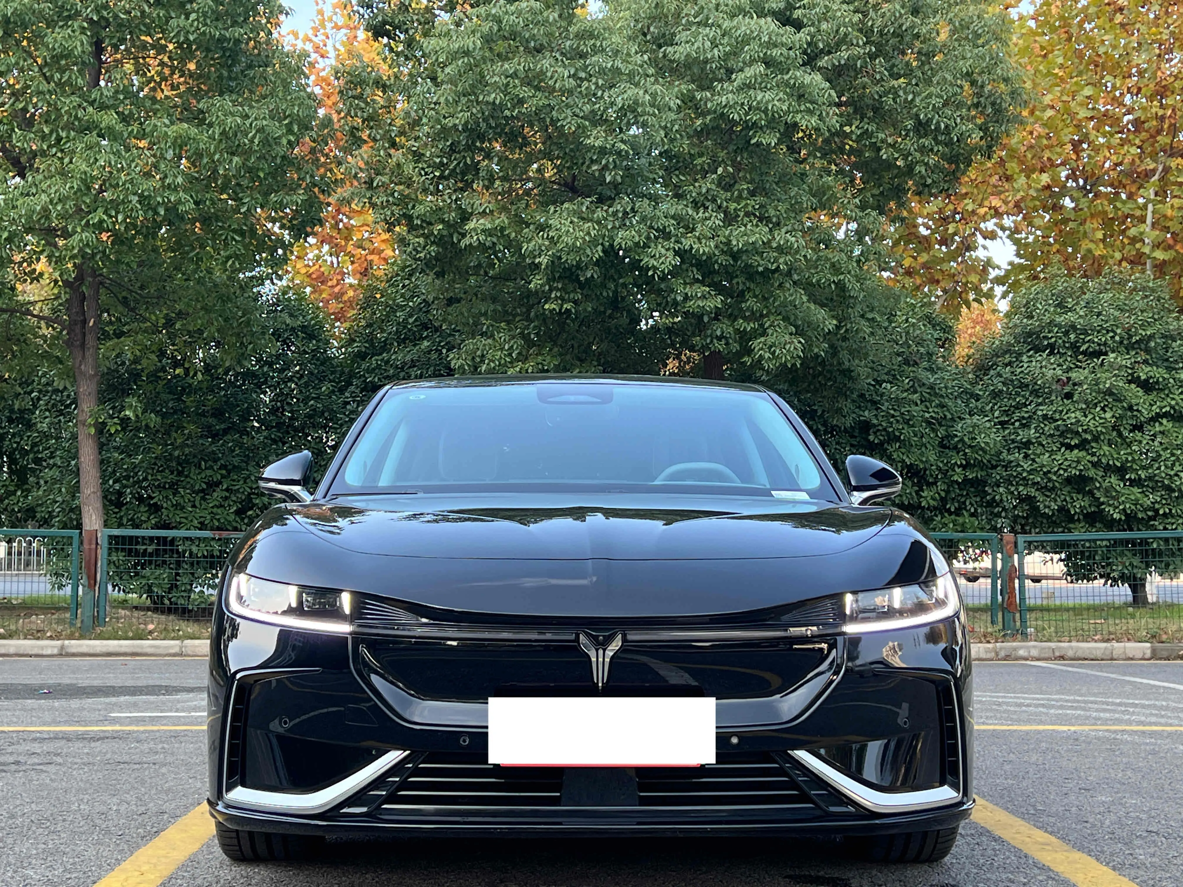 Voyah Passion EV  из Китая