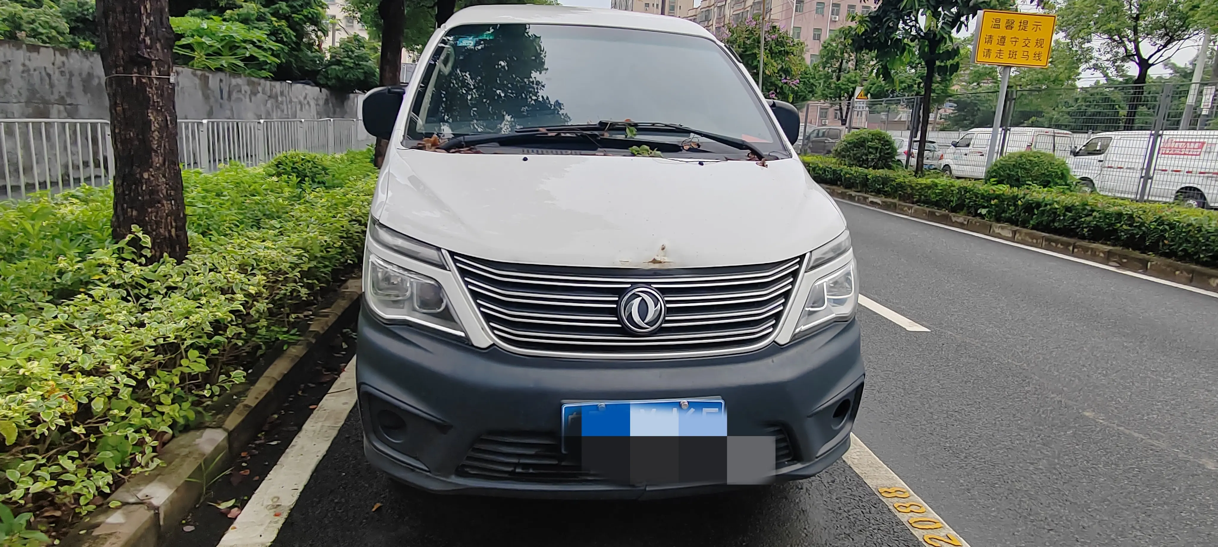 Forthing Lingzhi  из Китая