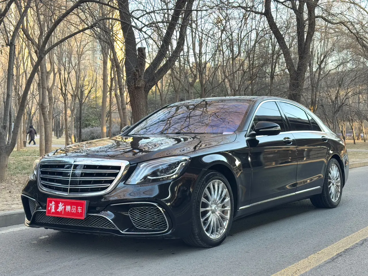 Mercedes-Benz Mercedes Benz S Class  из Китая