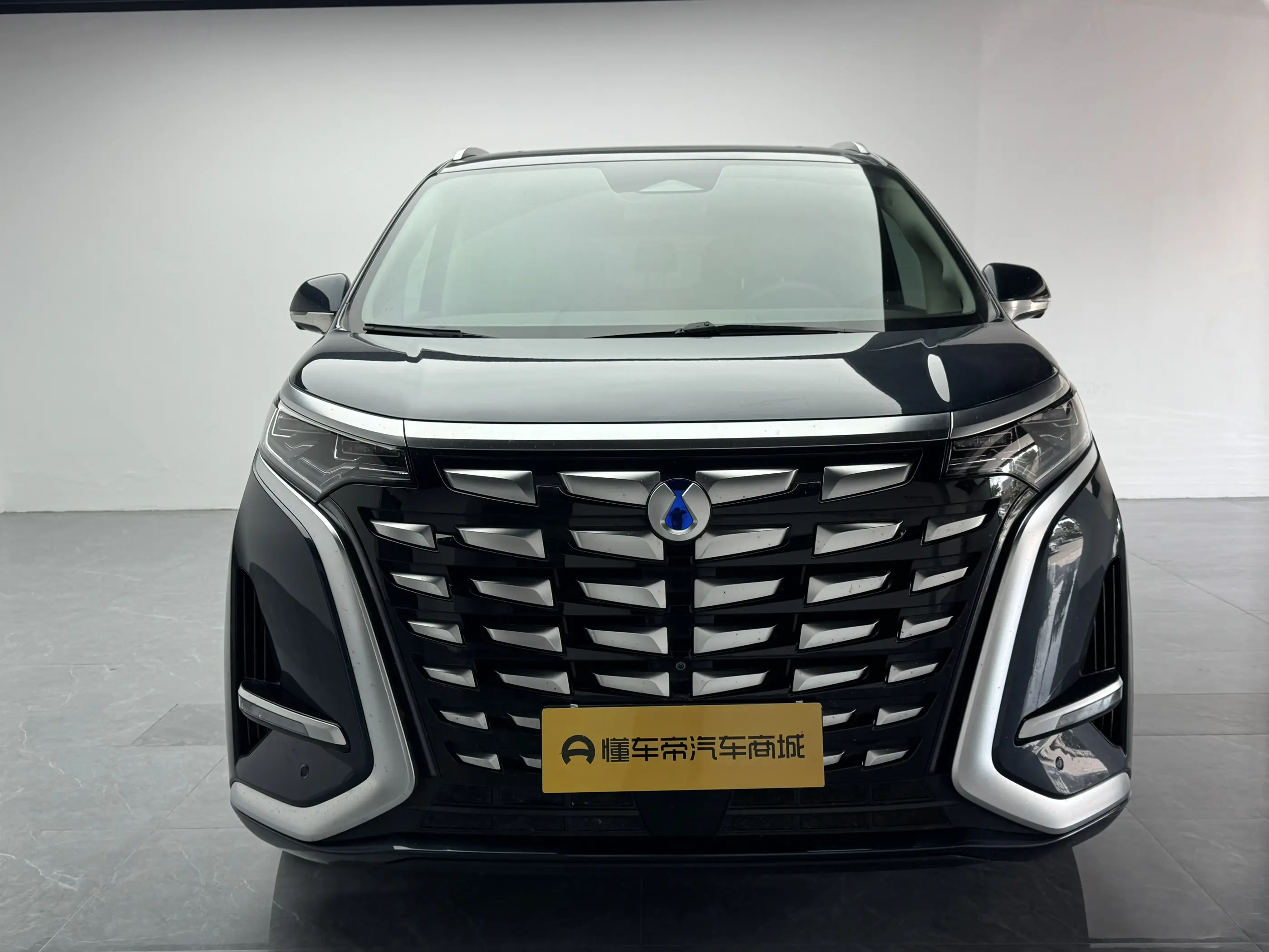 Denza D9 DM  из Китая