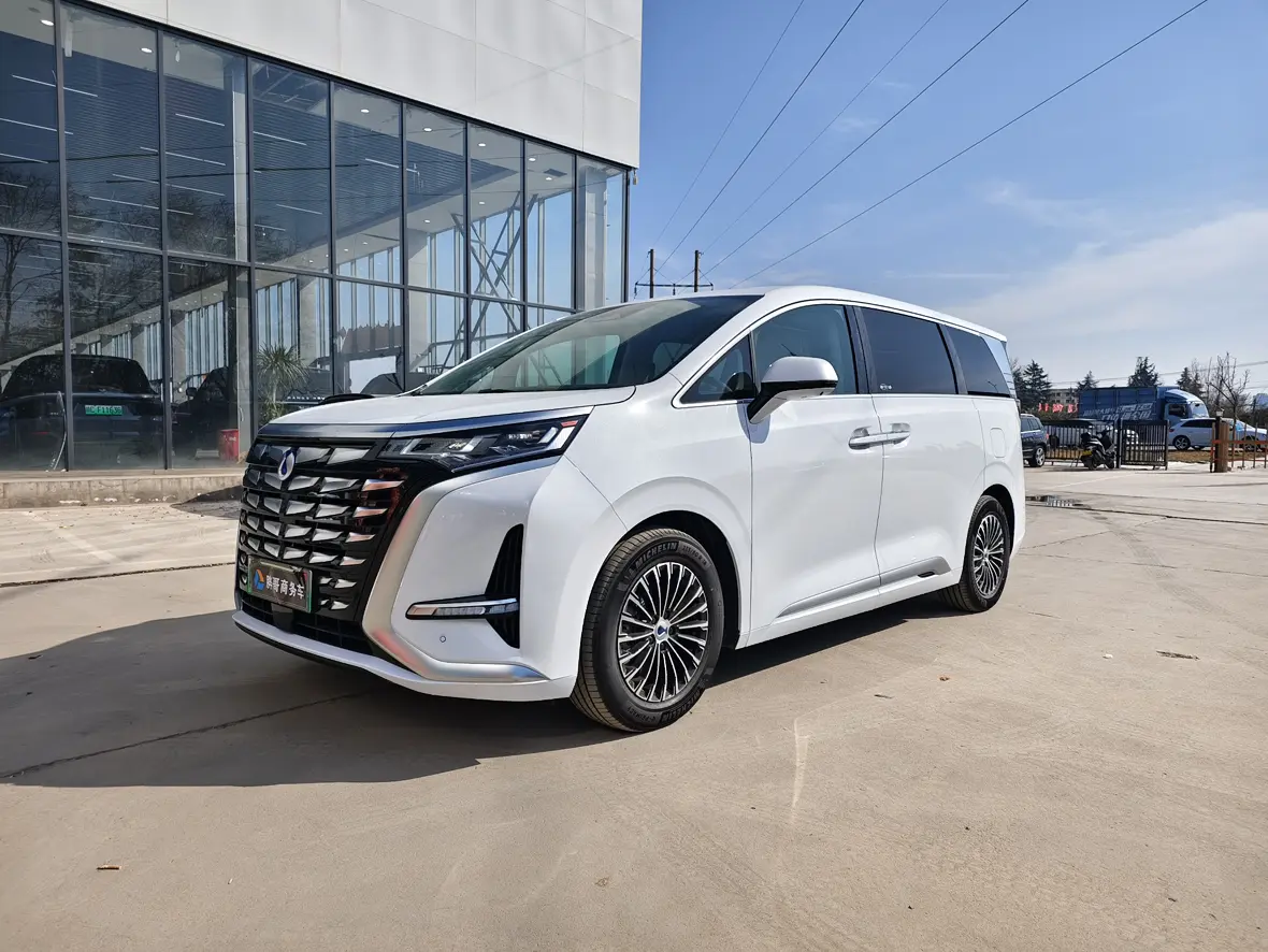 Denza D9 DM  из Китая