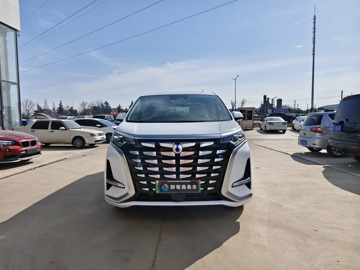 Denza D9 DM  из Китая