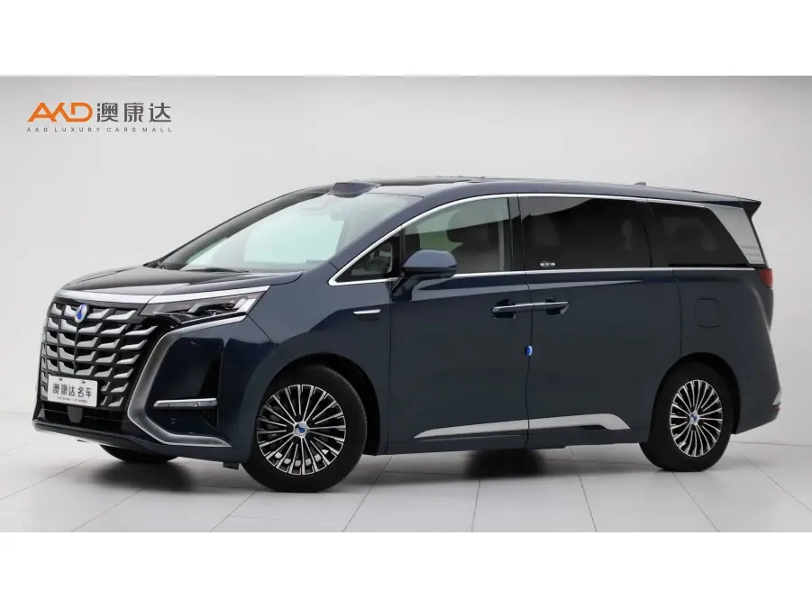 Denza D9 DM  из Китая