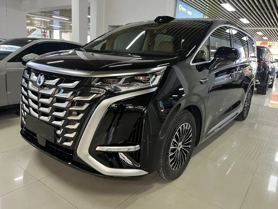 Denza D9 DM  из Китая