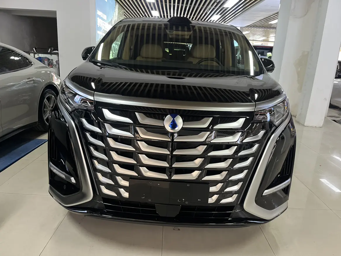 Denza D9 DM  из Китая