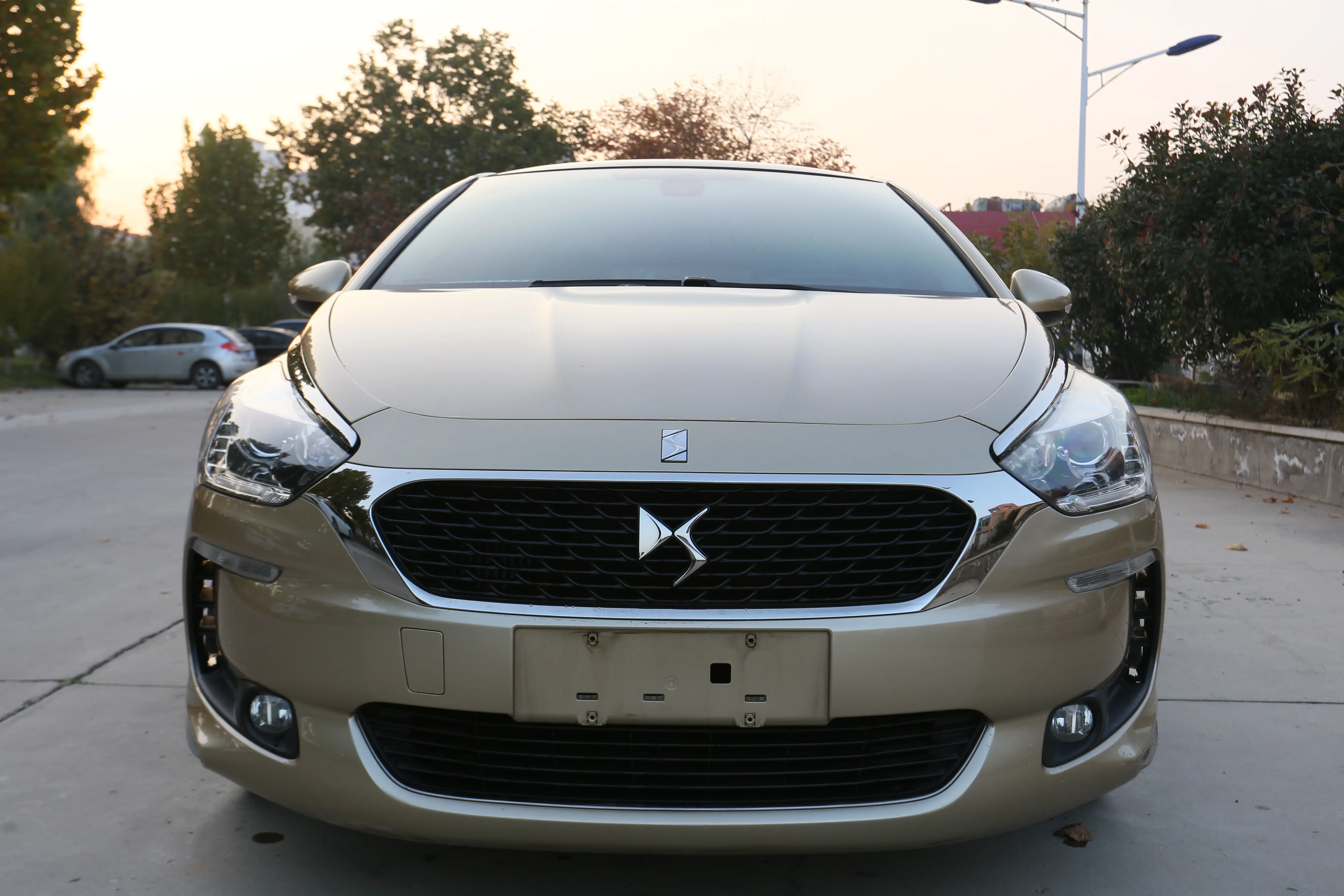 DS 5  из Китая