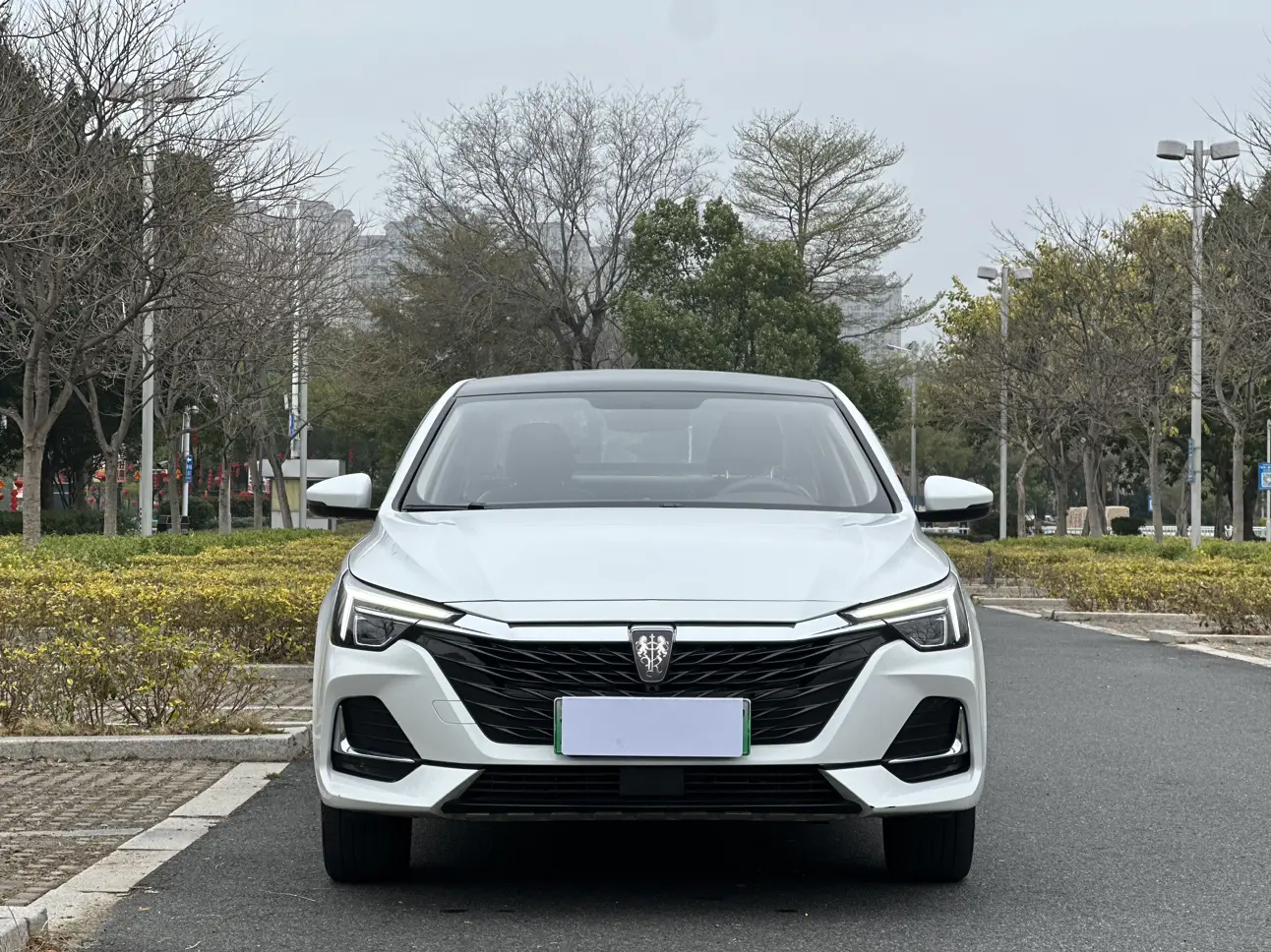 Roewe i6 MAX EV  из Китая