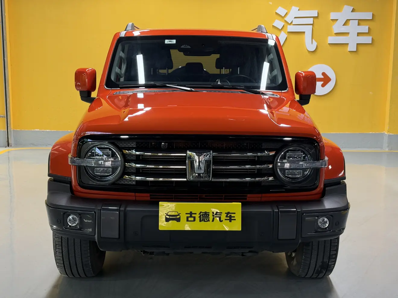 Tank 300  из Китая