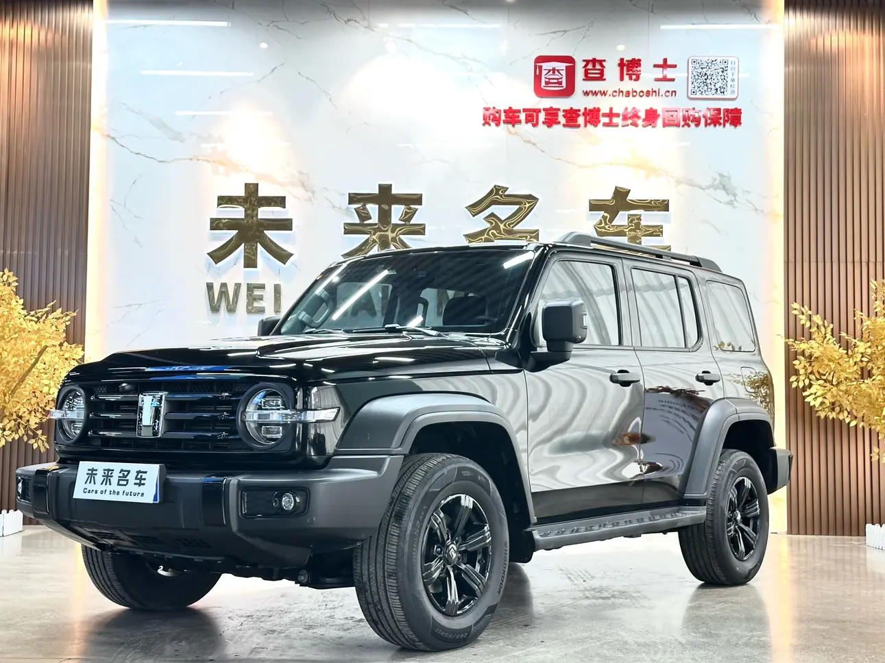 Tank 300  из Китая