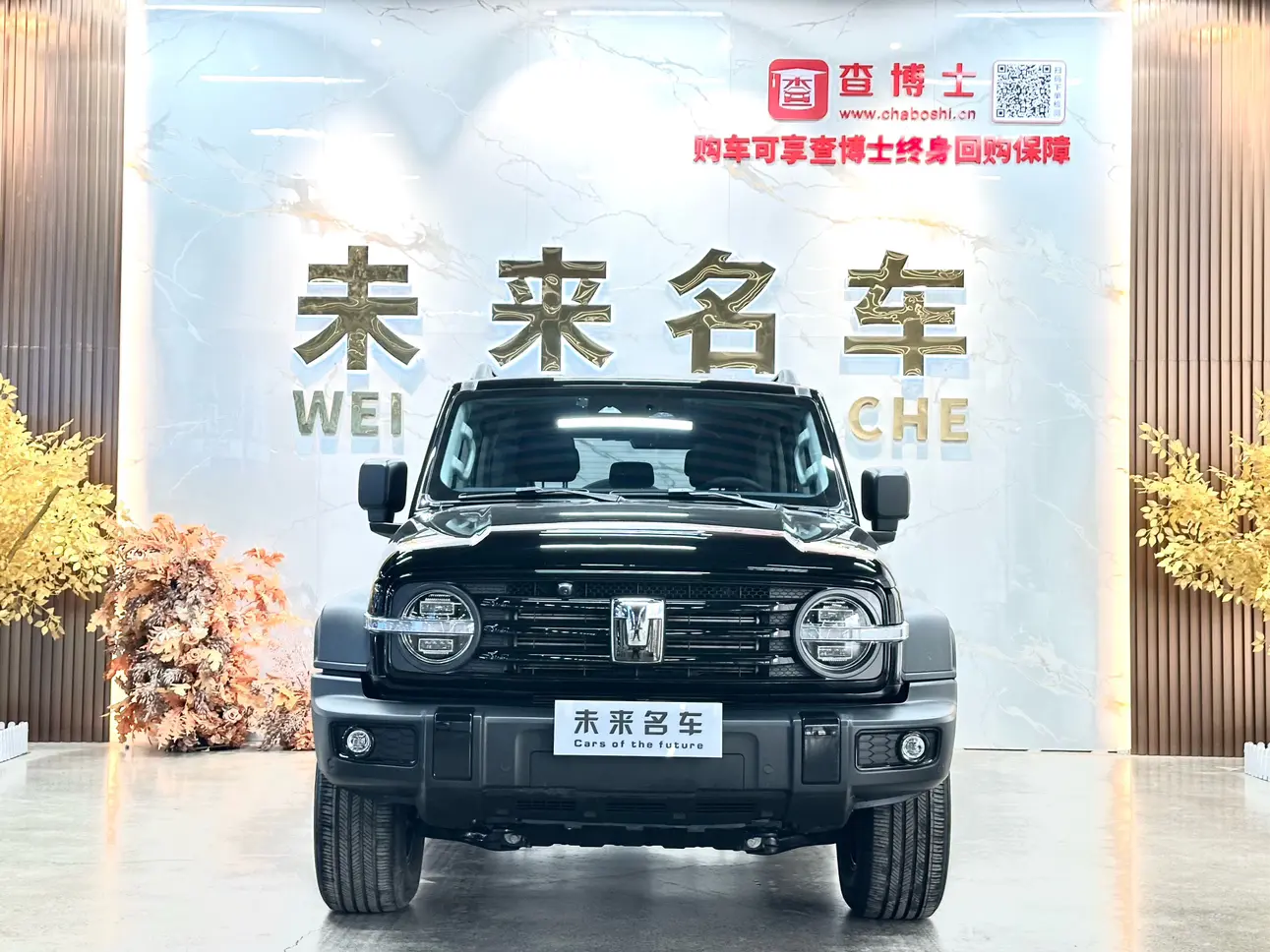 Tank 300  из Китая