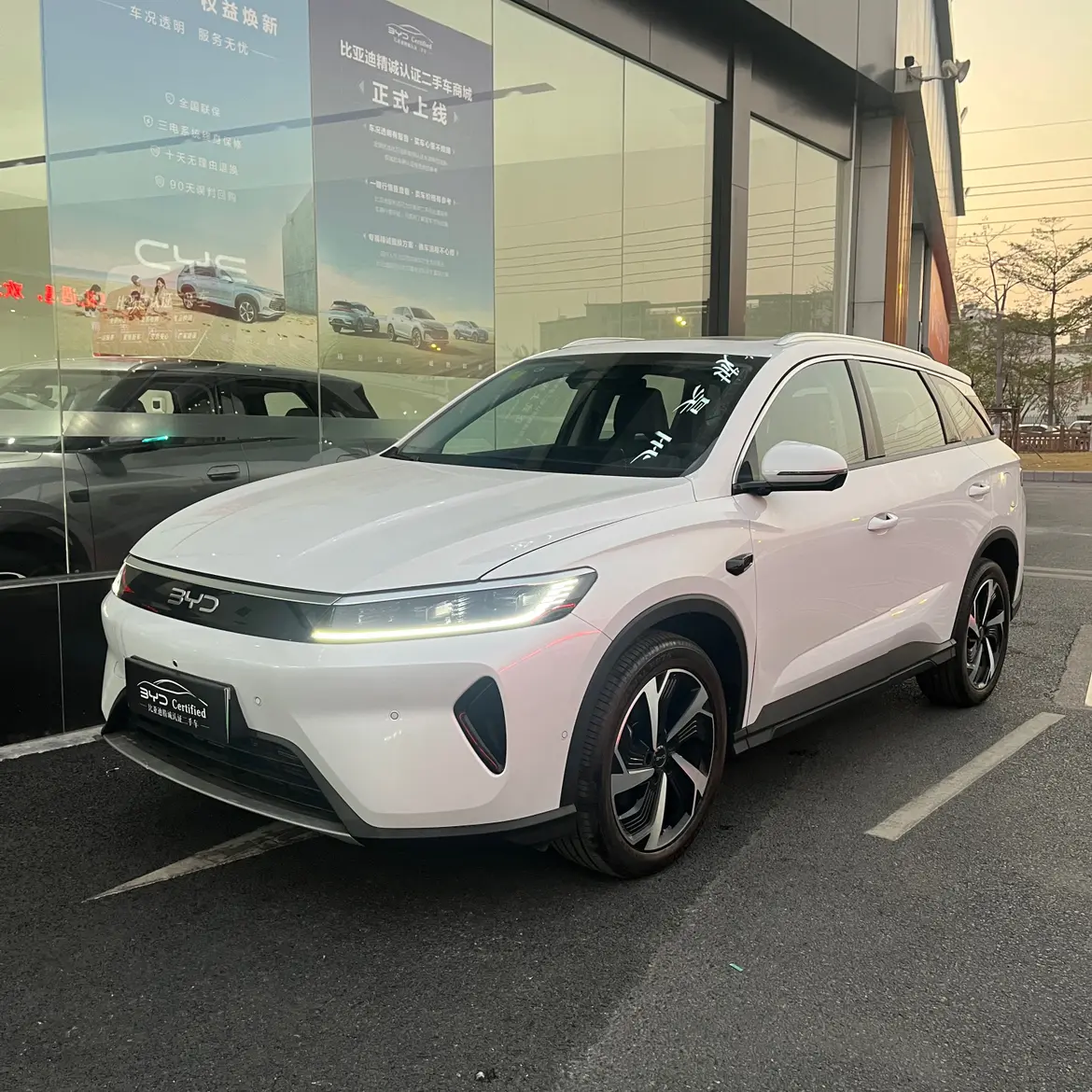 BYD Sea Lion 05DM  из Китая