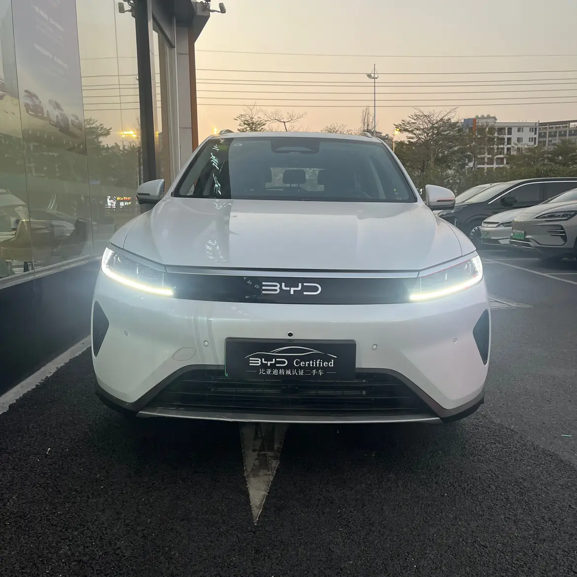 BYD Sea Lion 05DM  из Китая