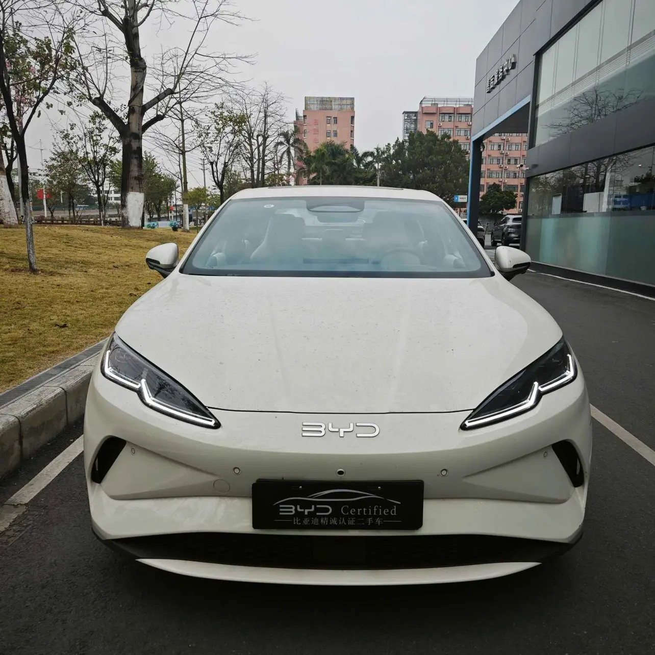 BYD Seal 06EV  из Китая