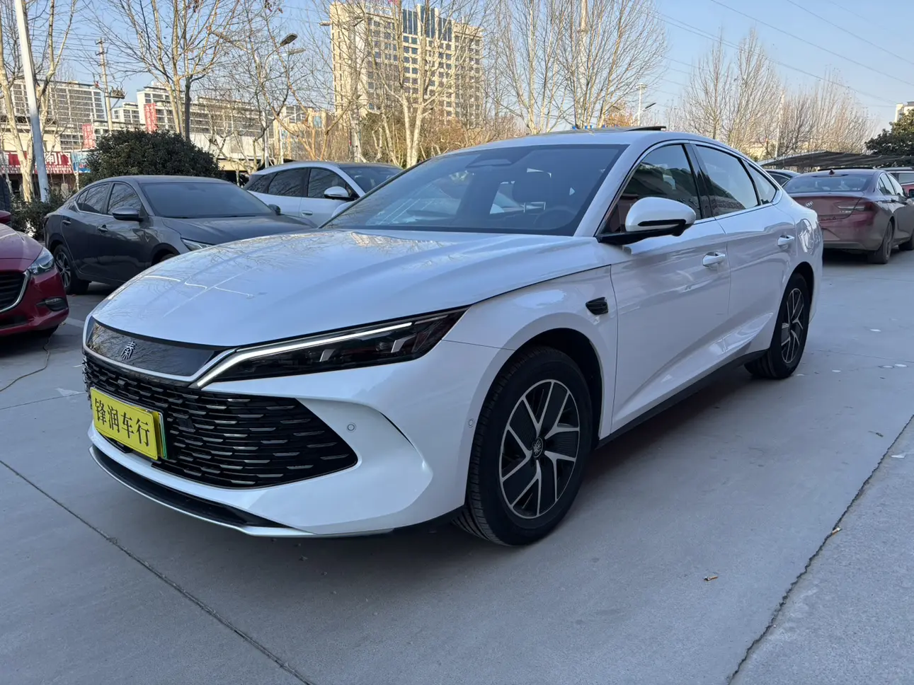 BYD Qin L DM