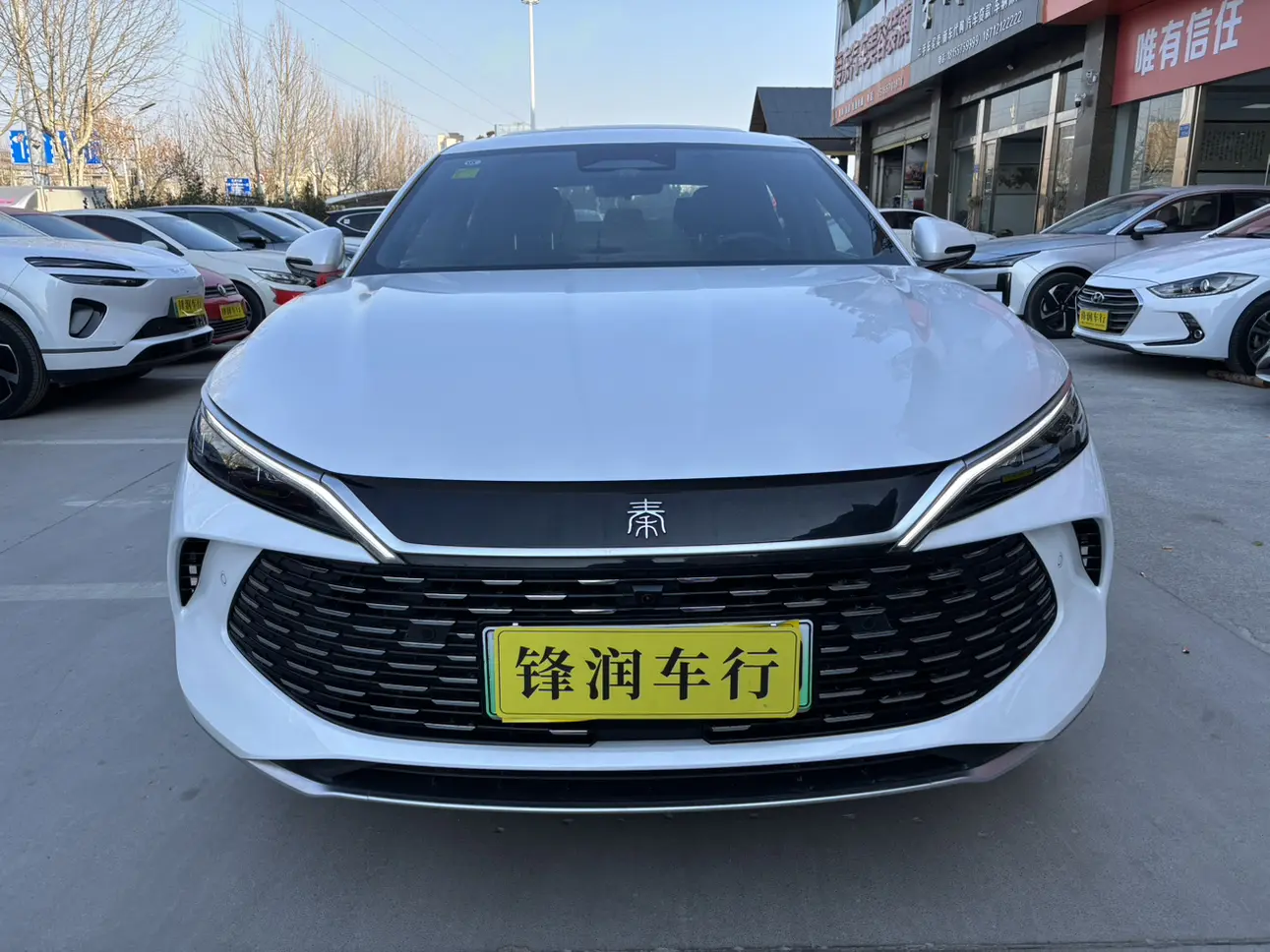 BYD Qin L DM