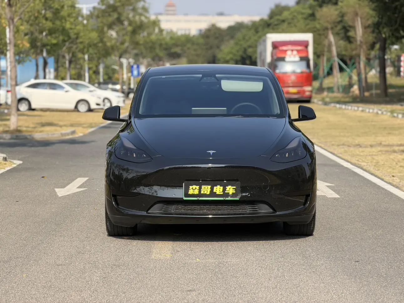 Tesla Model Y  из Китая