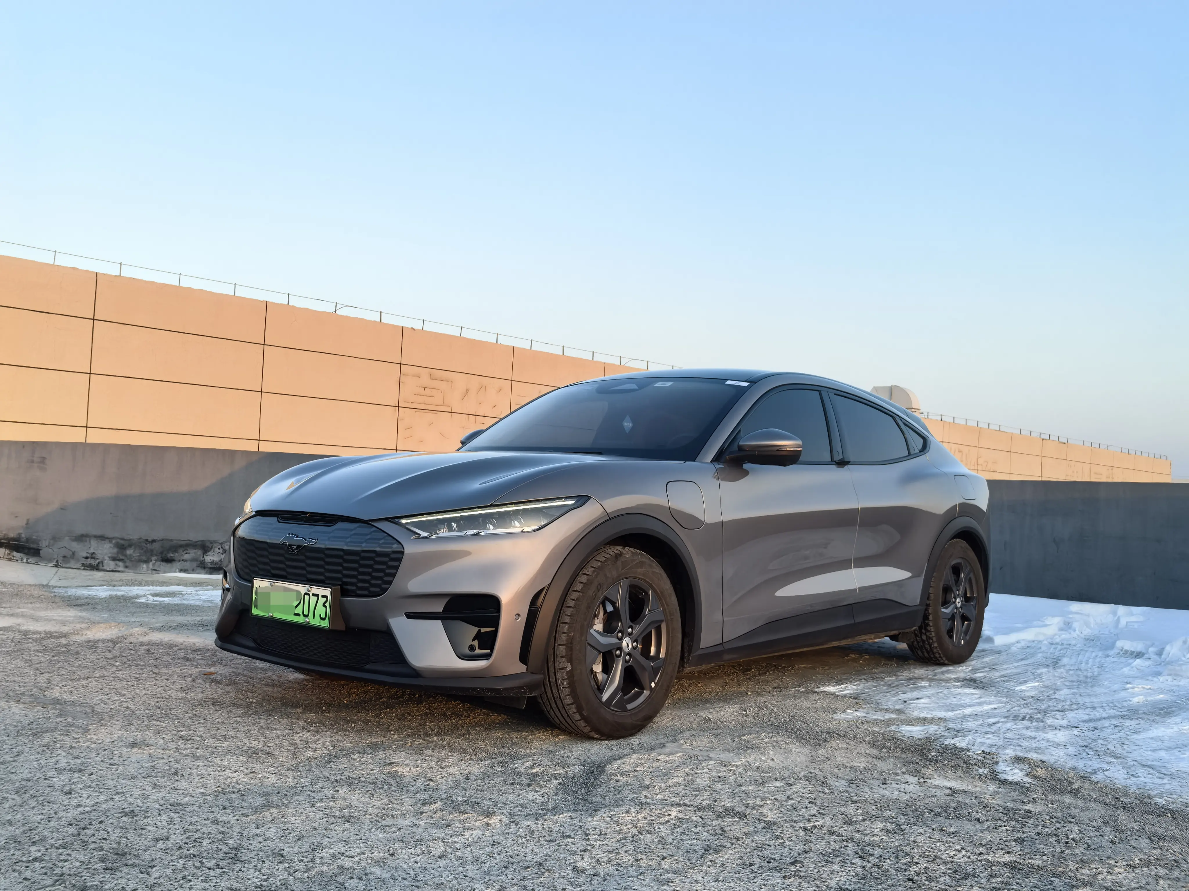 Ford electric horse  из Китая