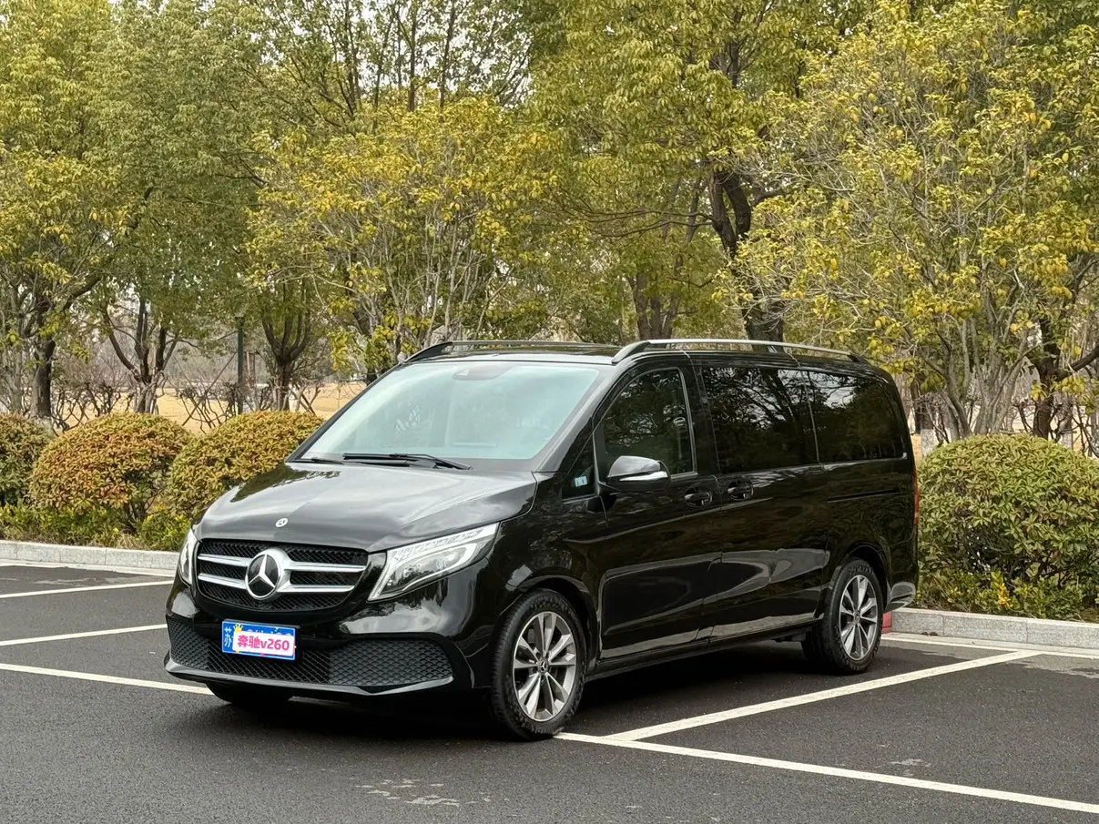 Mercedes-Benz Mercedes Benz V Class  из Китая