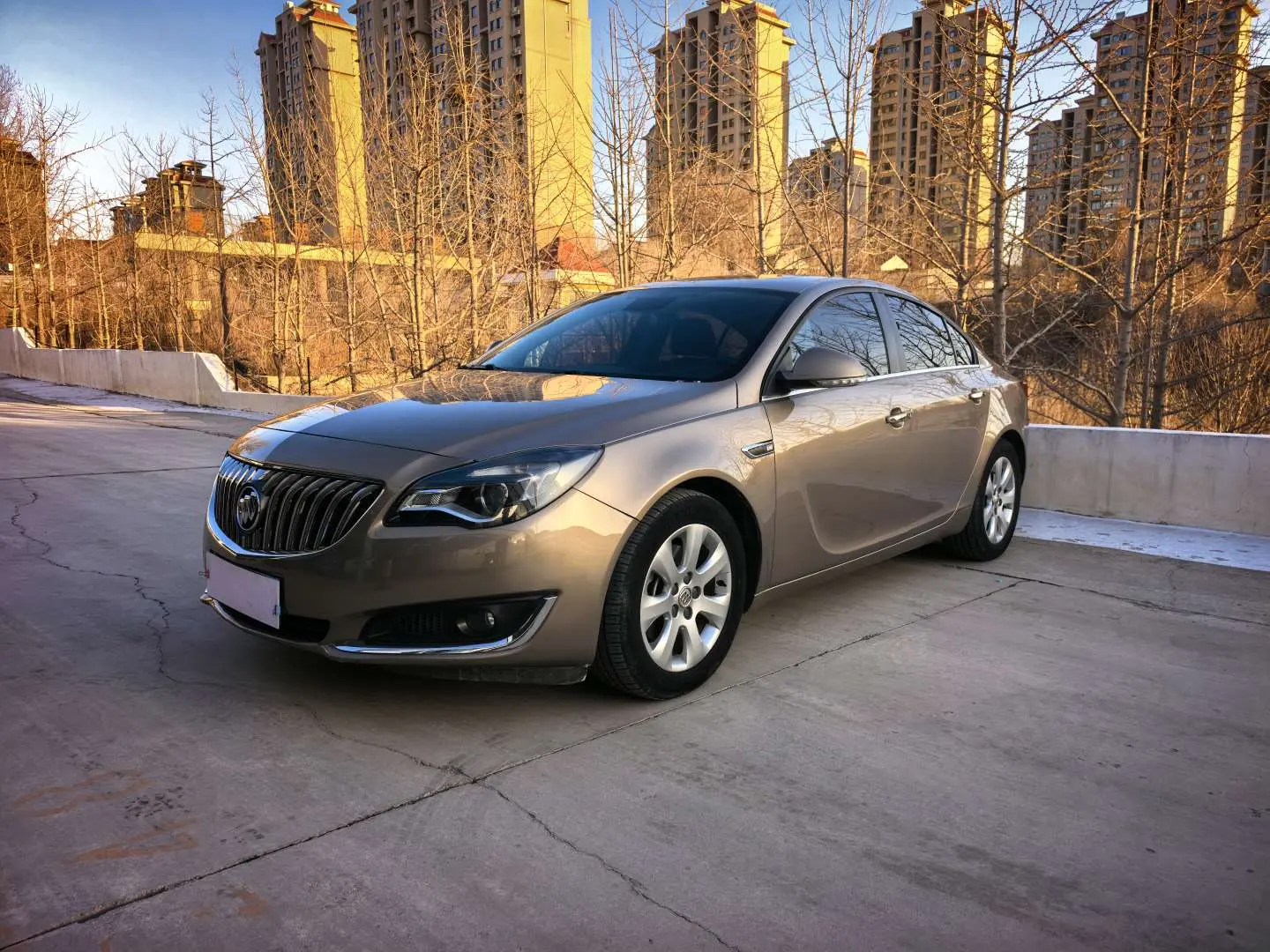 Buick Majesty