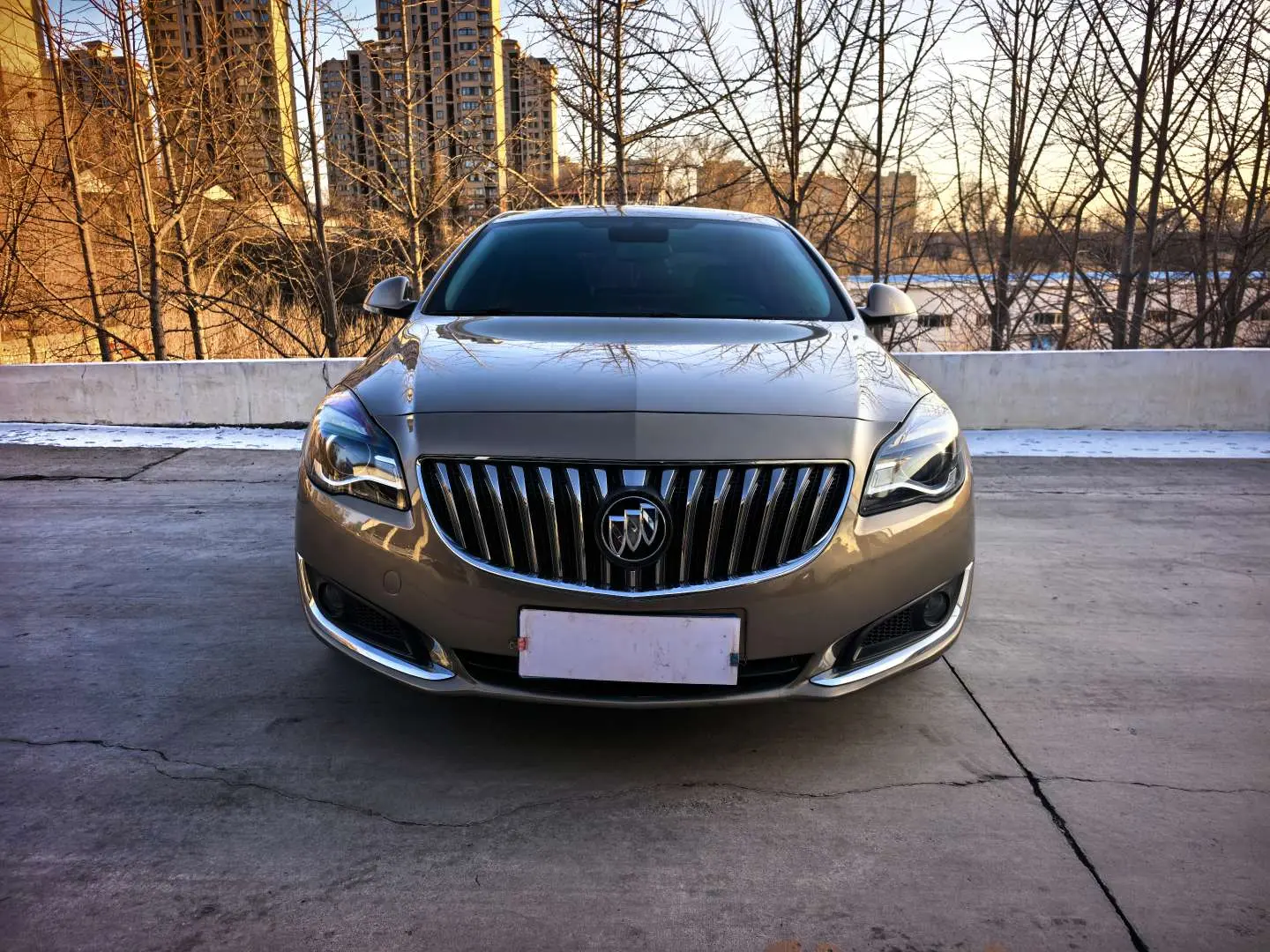 Buick Majesty