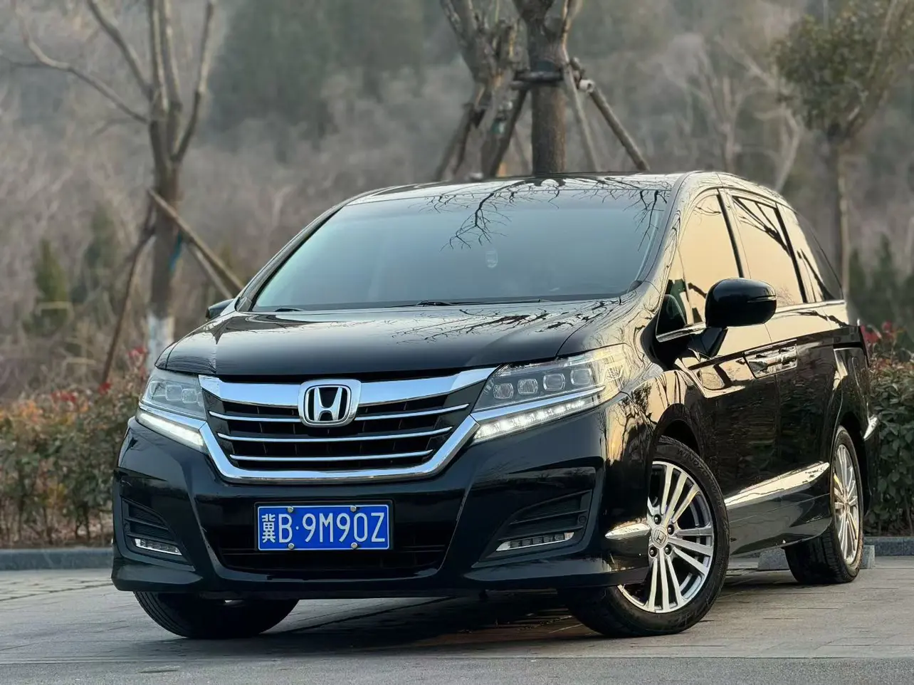 Honda Elysion (Alison)  из Китая
