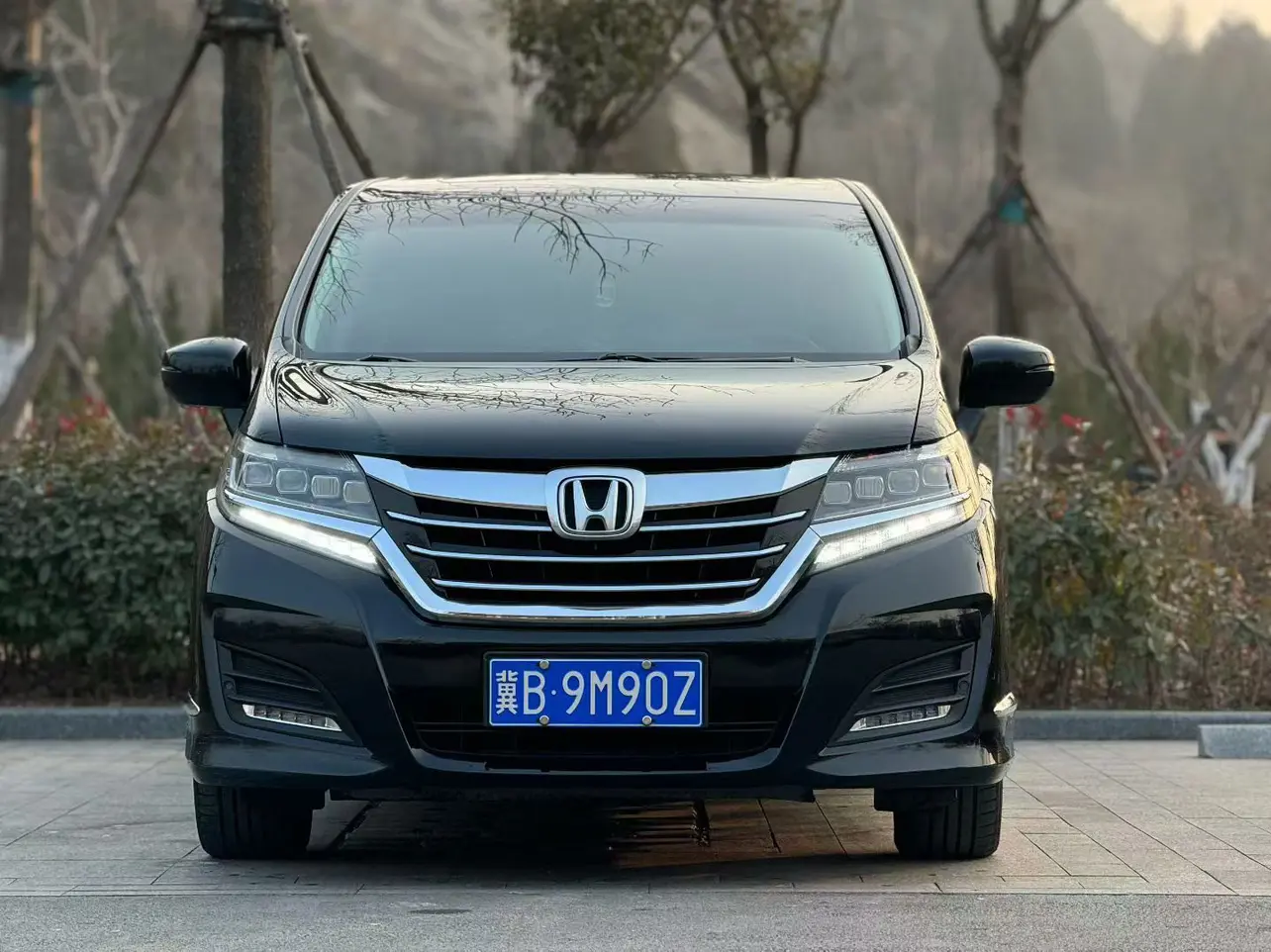 Honda Elysion (Alison)  из Китая