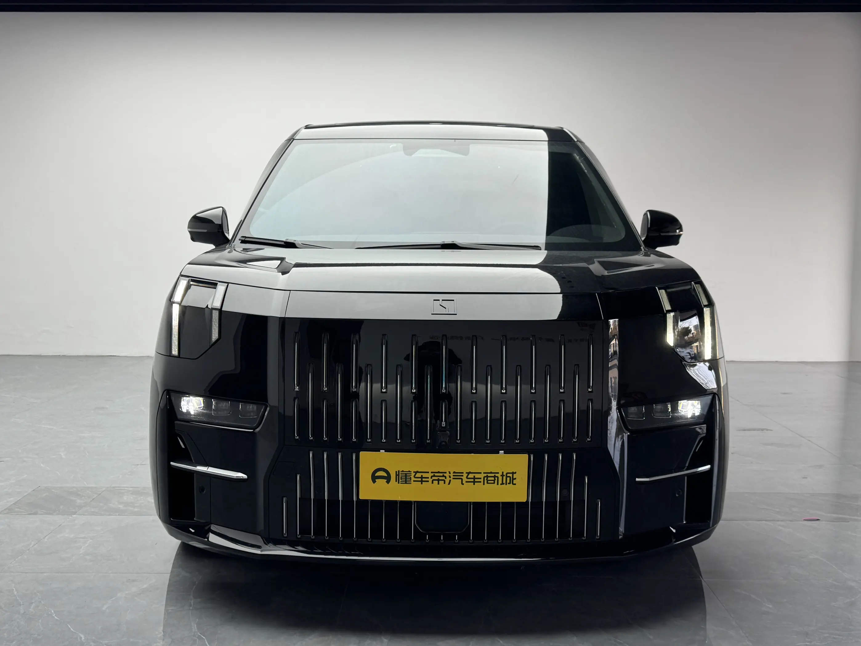 ZEEKR 009  из Китая