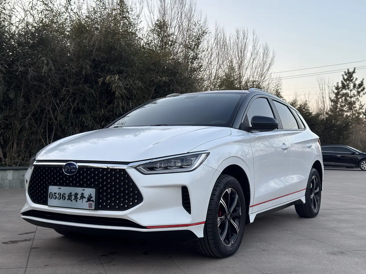 BYD e2  из Китая