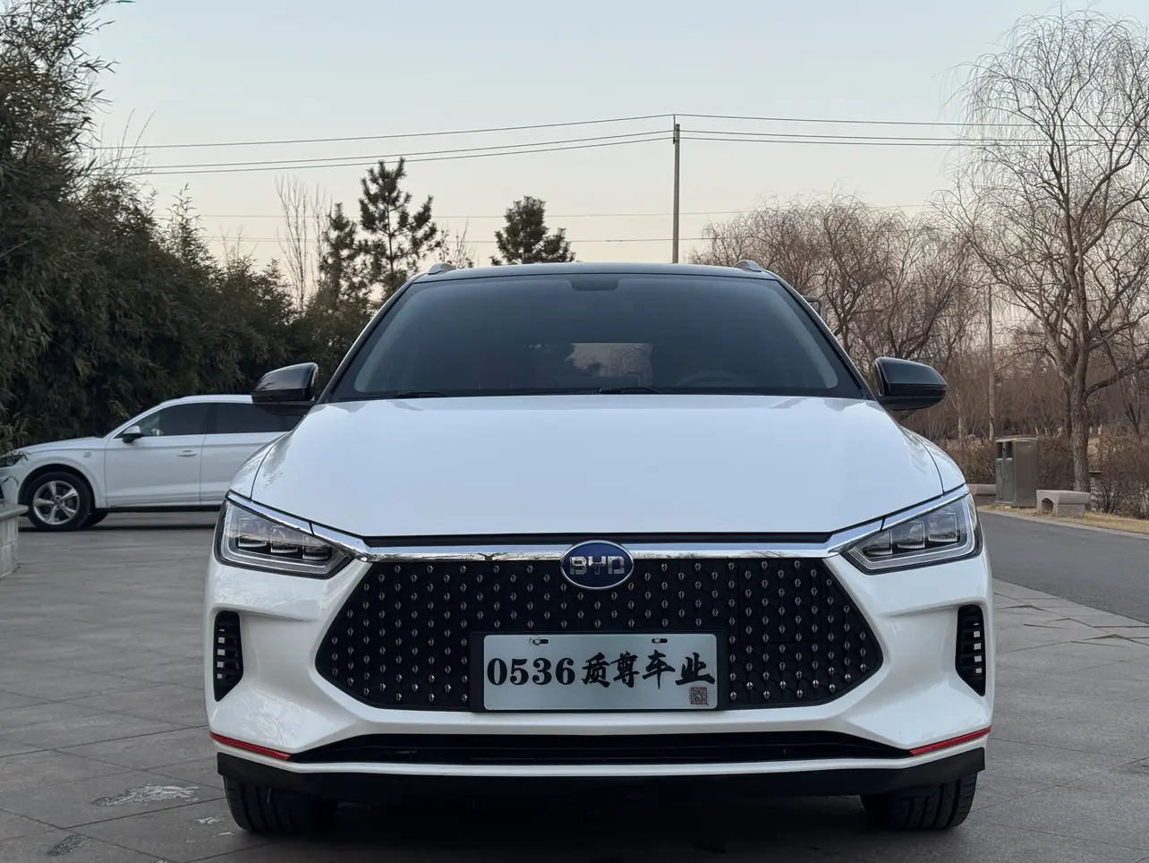 BYD e2  из Китая
