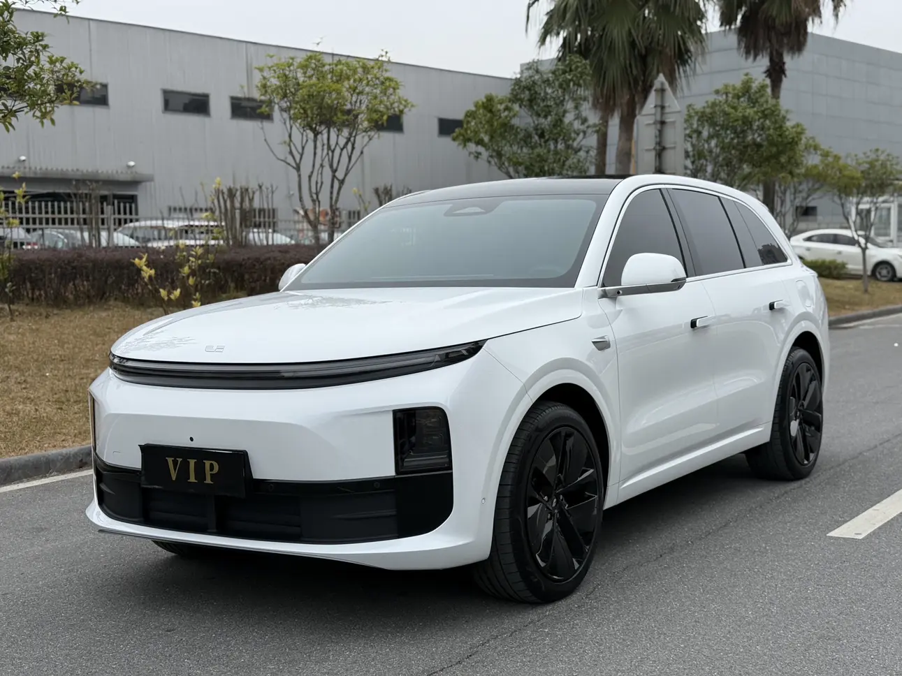 Lixiang L6