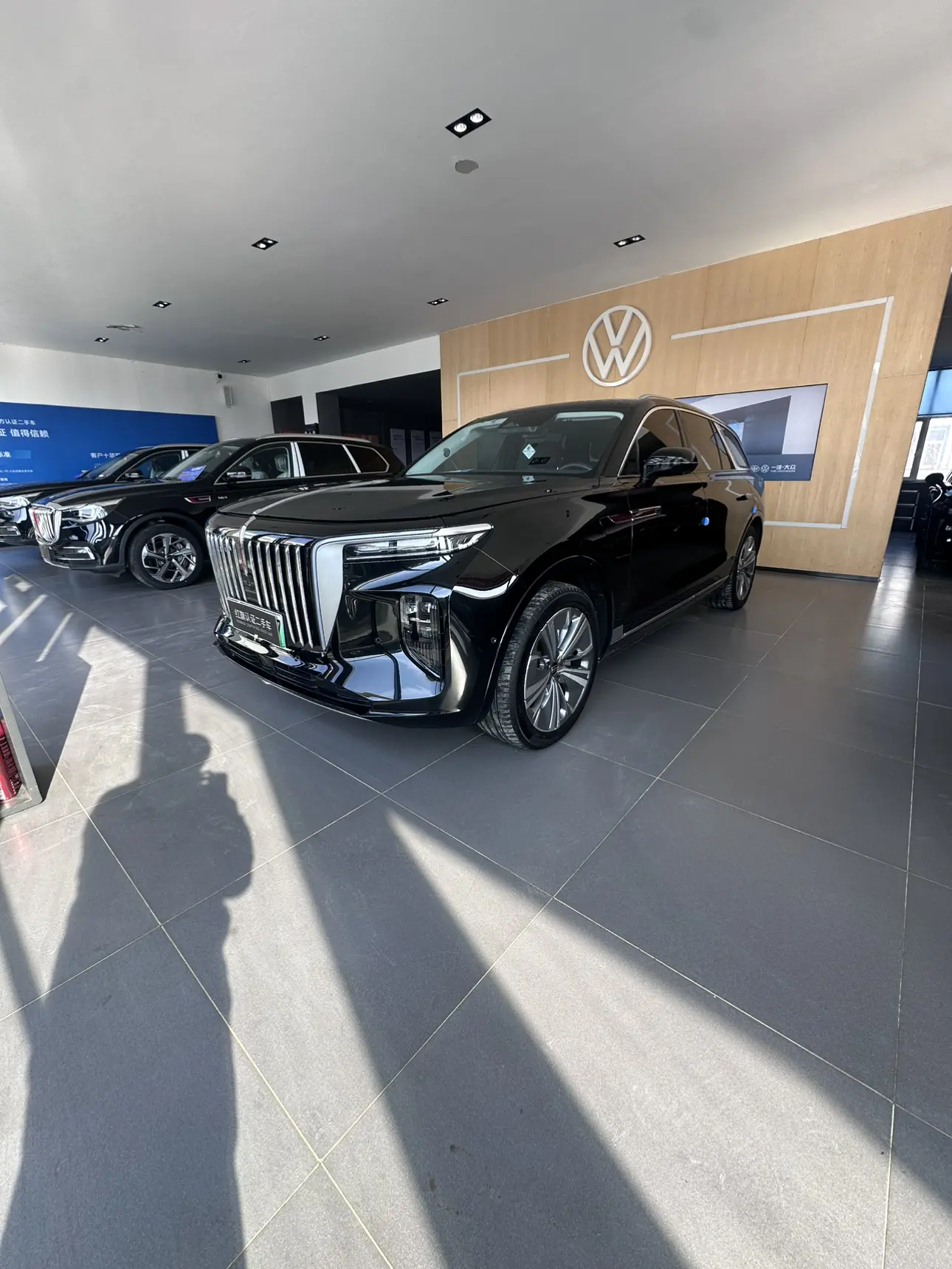 Hongqi E-HS9  из Китая