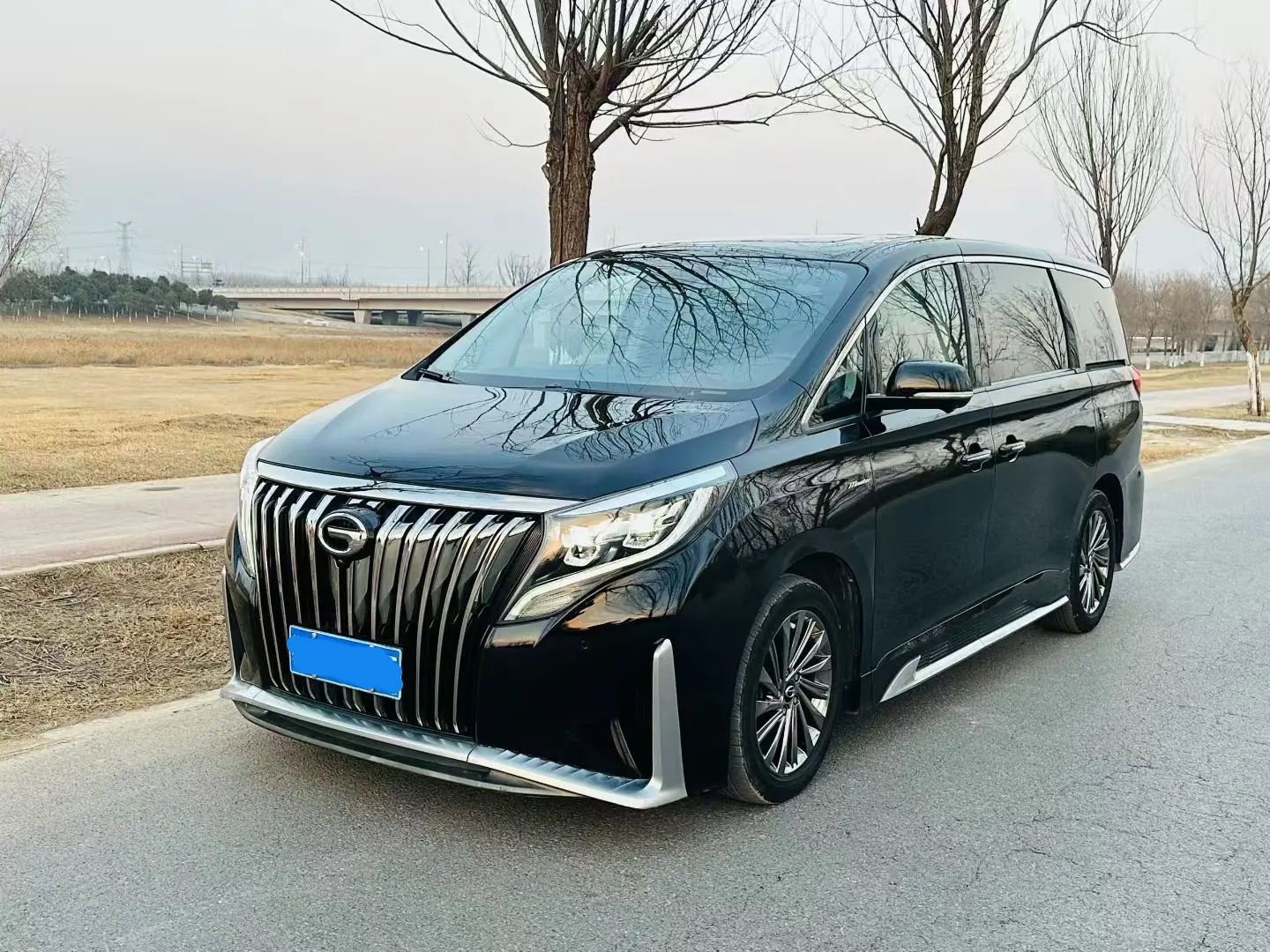 GAC Trumpchi M8  из Китая