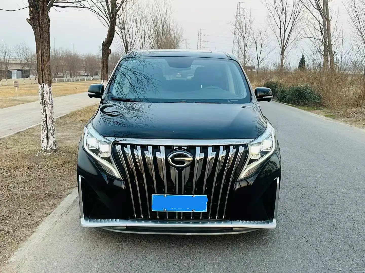 GAC Trumpchi M8  из Китая