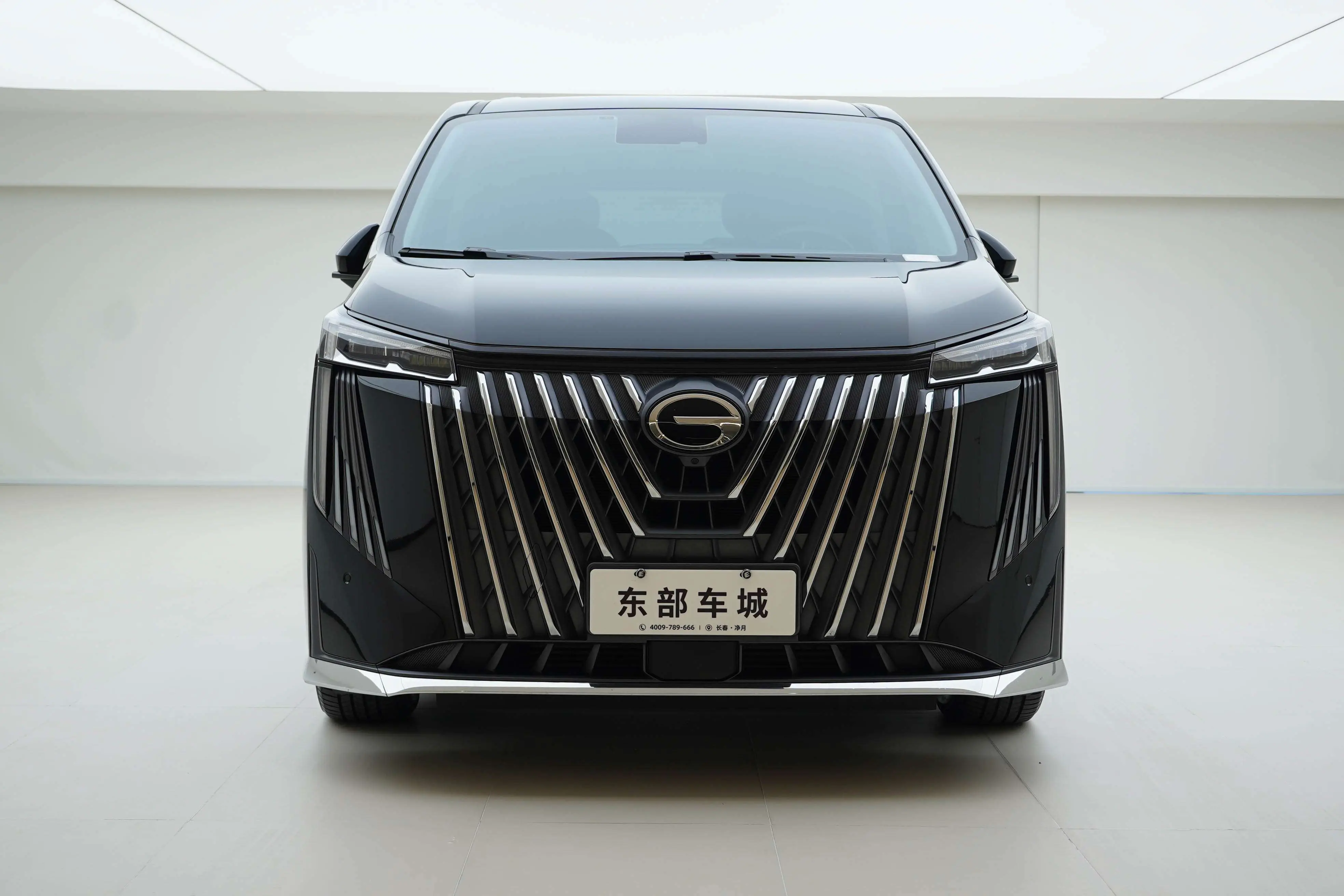 GAC Trumpchi M8  из Китая