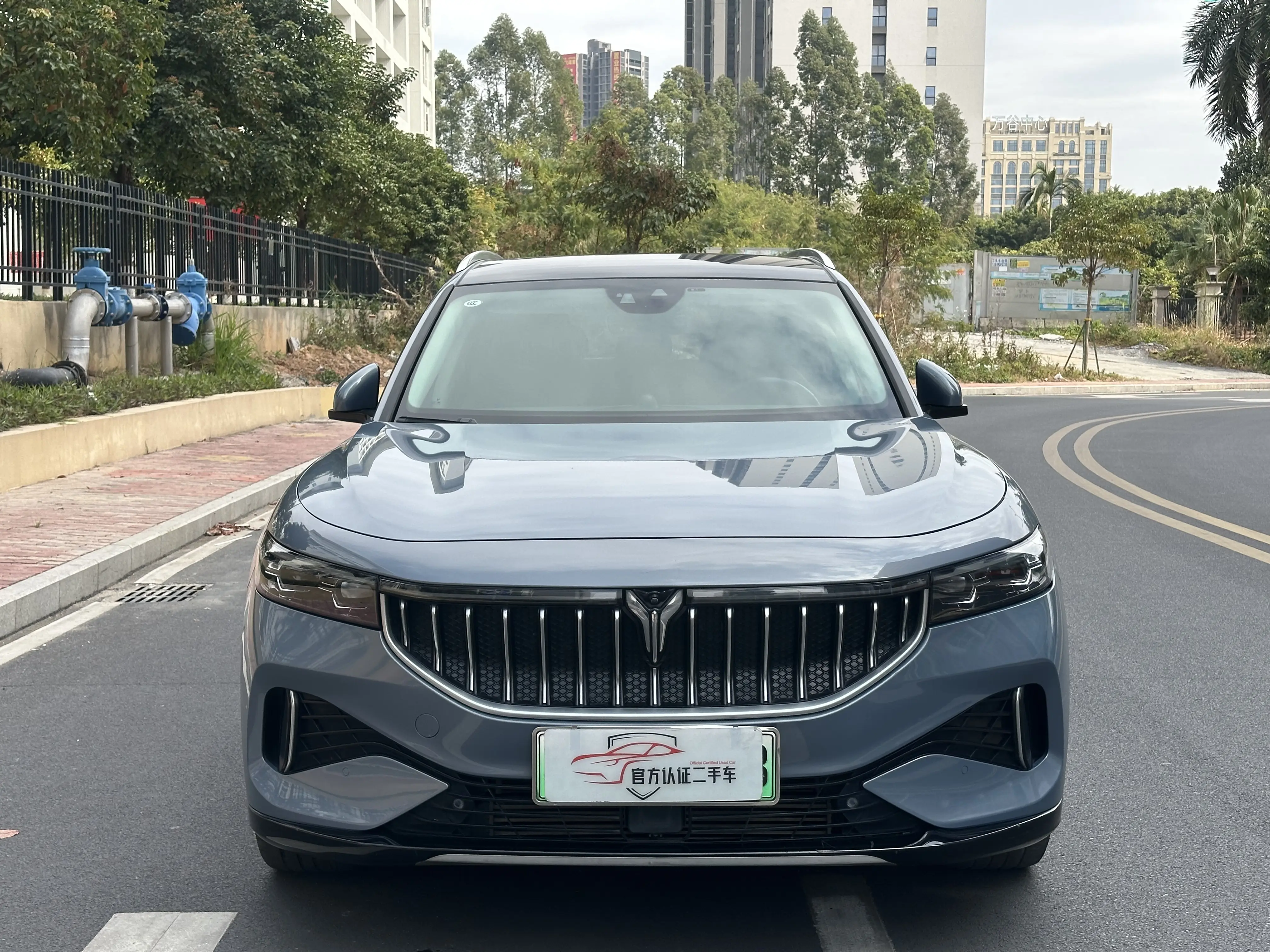 Voyah Lantu FREE  из Китая